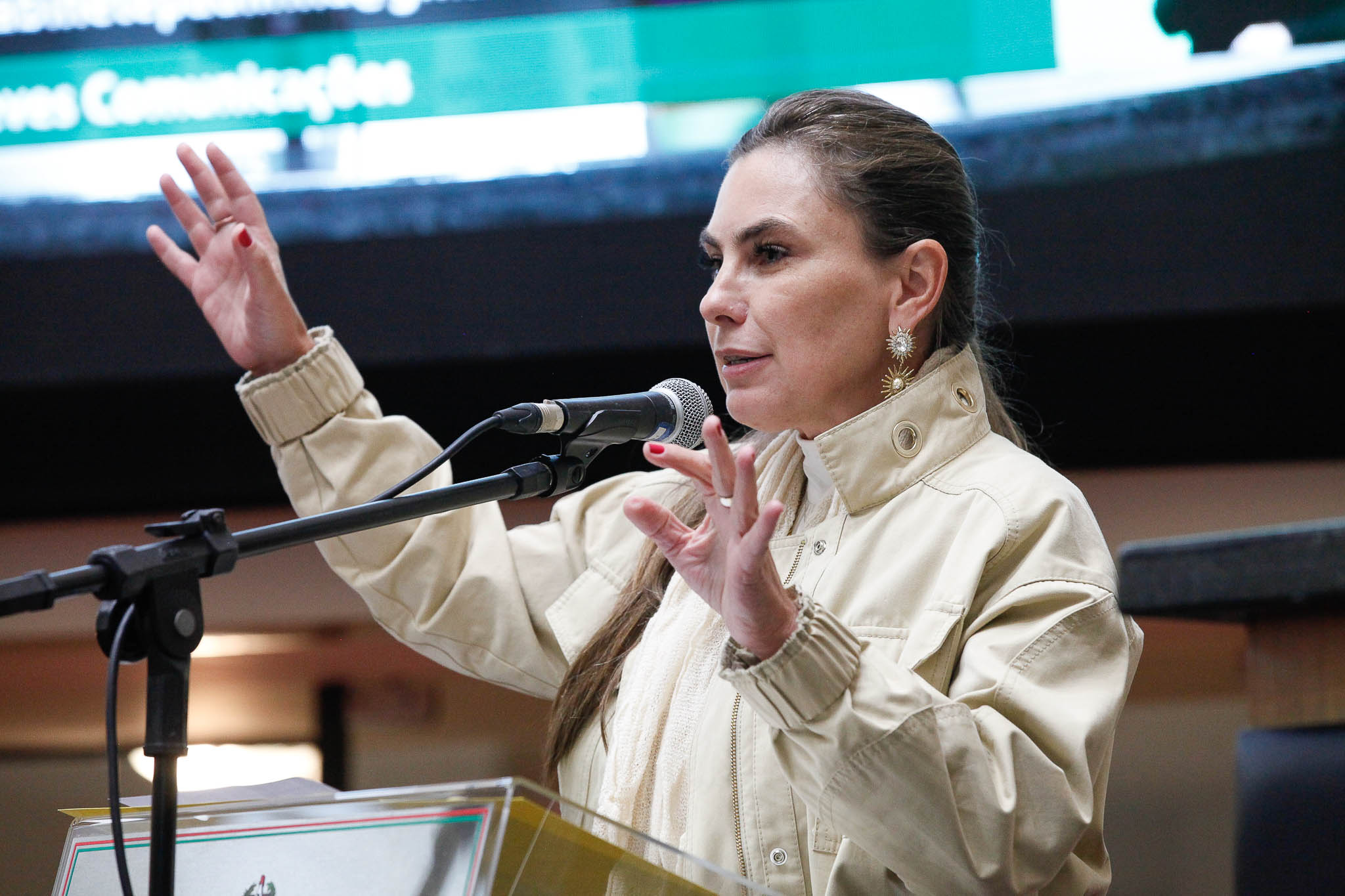 Deputada Ana Paula da Silva (-)