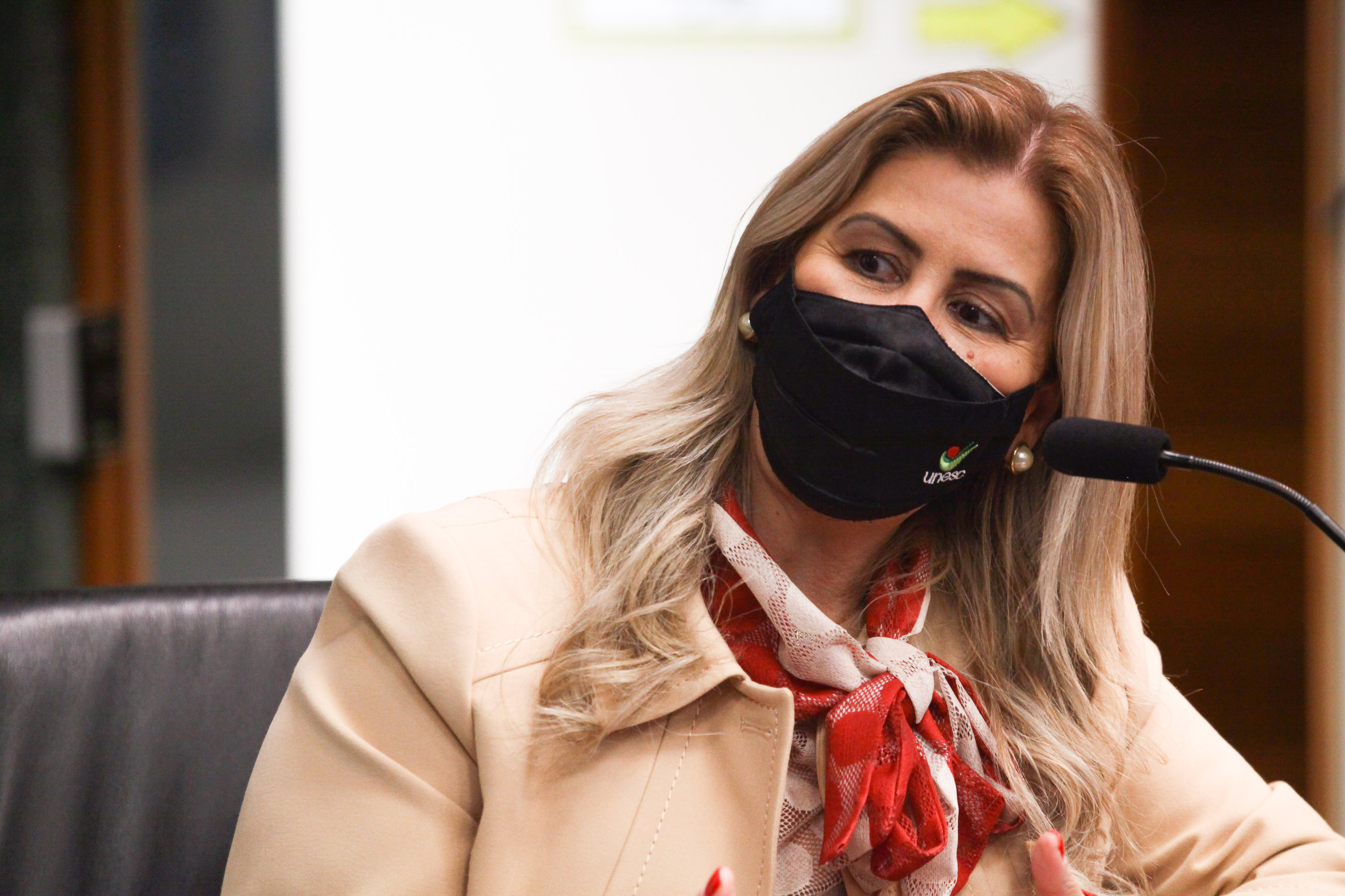 Frente Parlamentar em Defesa das Instituições de Educação Superior de SC - Luciane Sertta