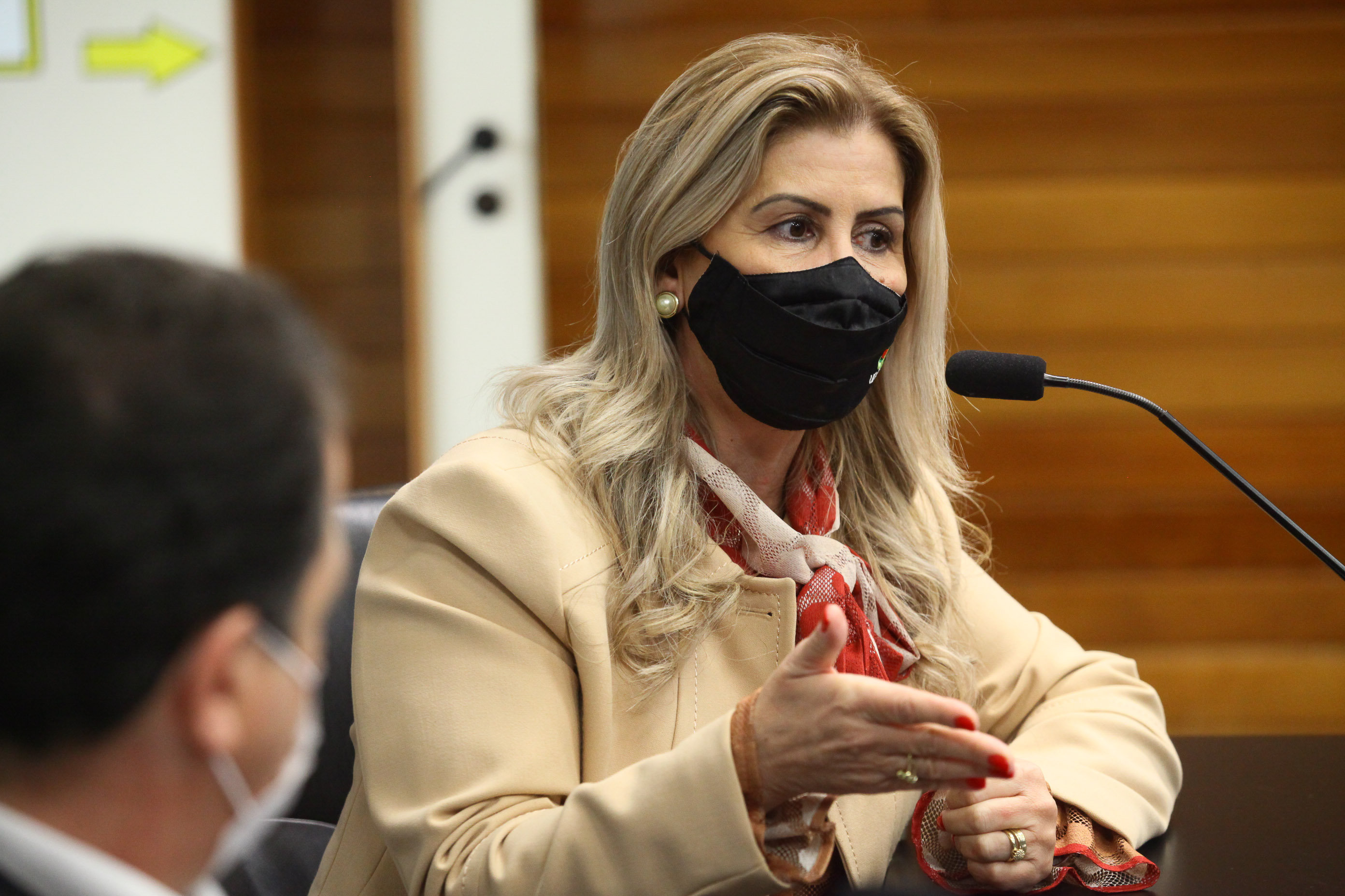 Frente Parlamentar em Defesa das Instituições de Educação Superior de SC - Luciane Sertta