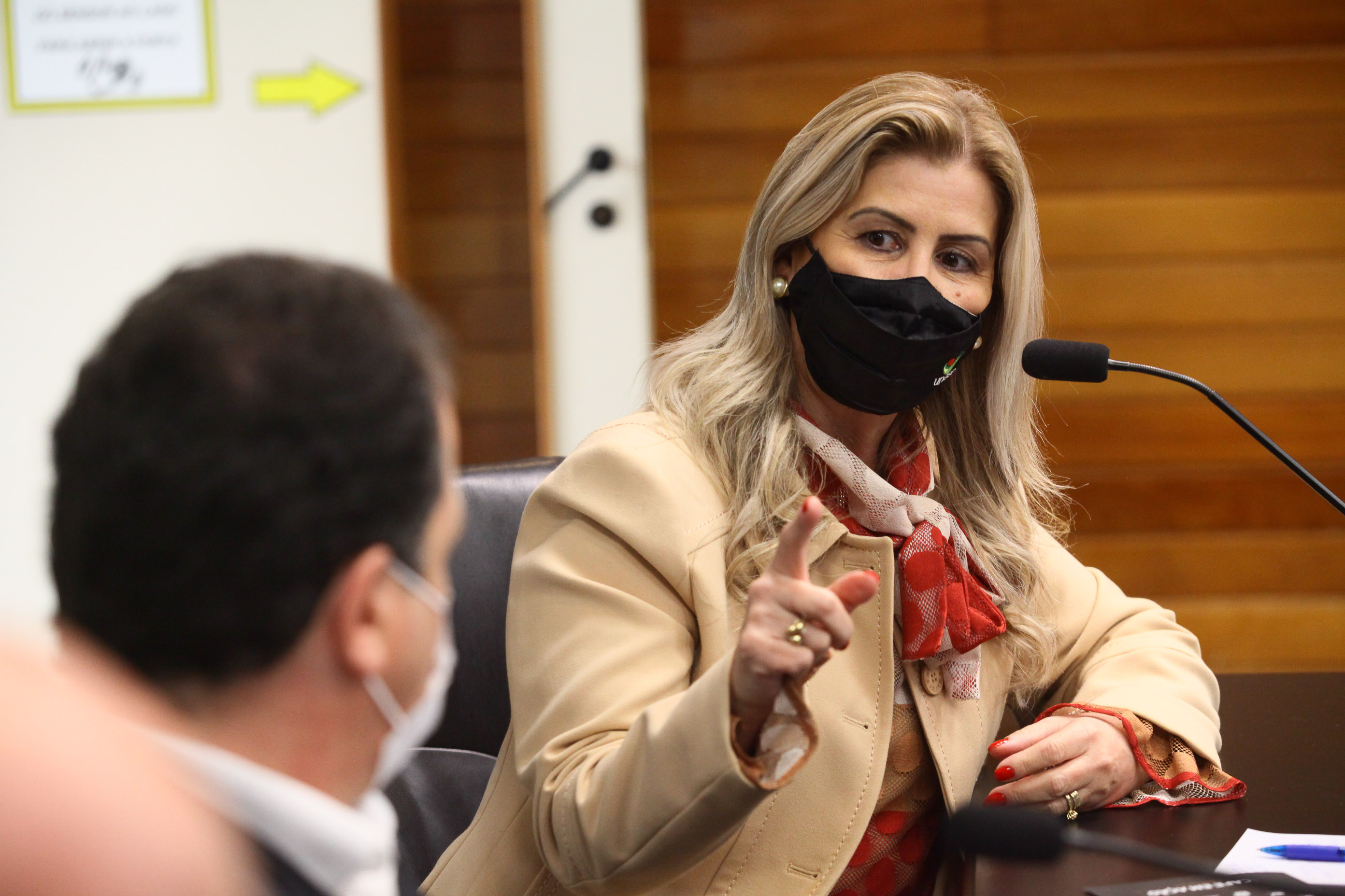 Frente Parlamentar em Defesa das Instituições de Educação Superior de SC - Luciane Sertta