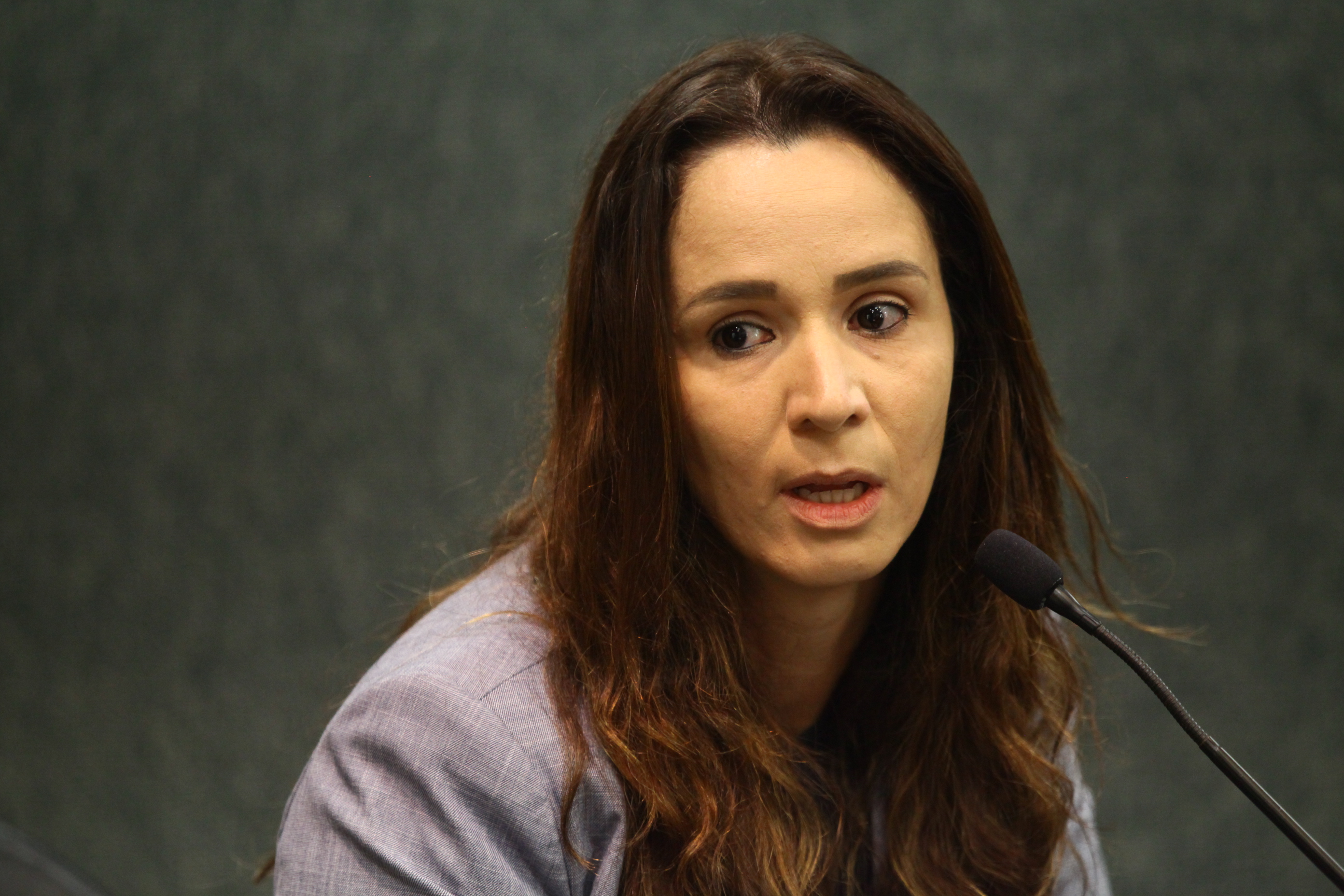 Comissão de Agricultura e Política Rural - Daniela Carneiro da Carmo (SAR)