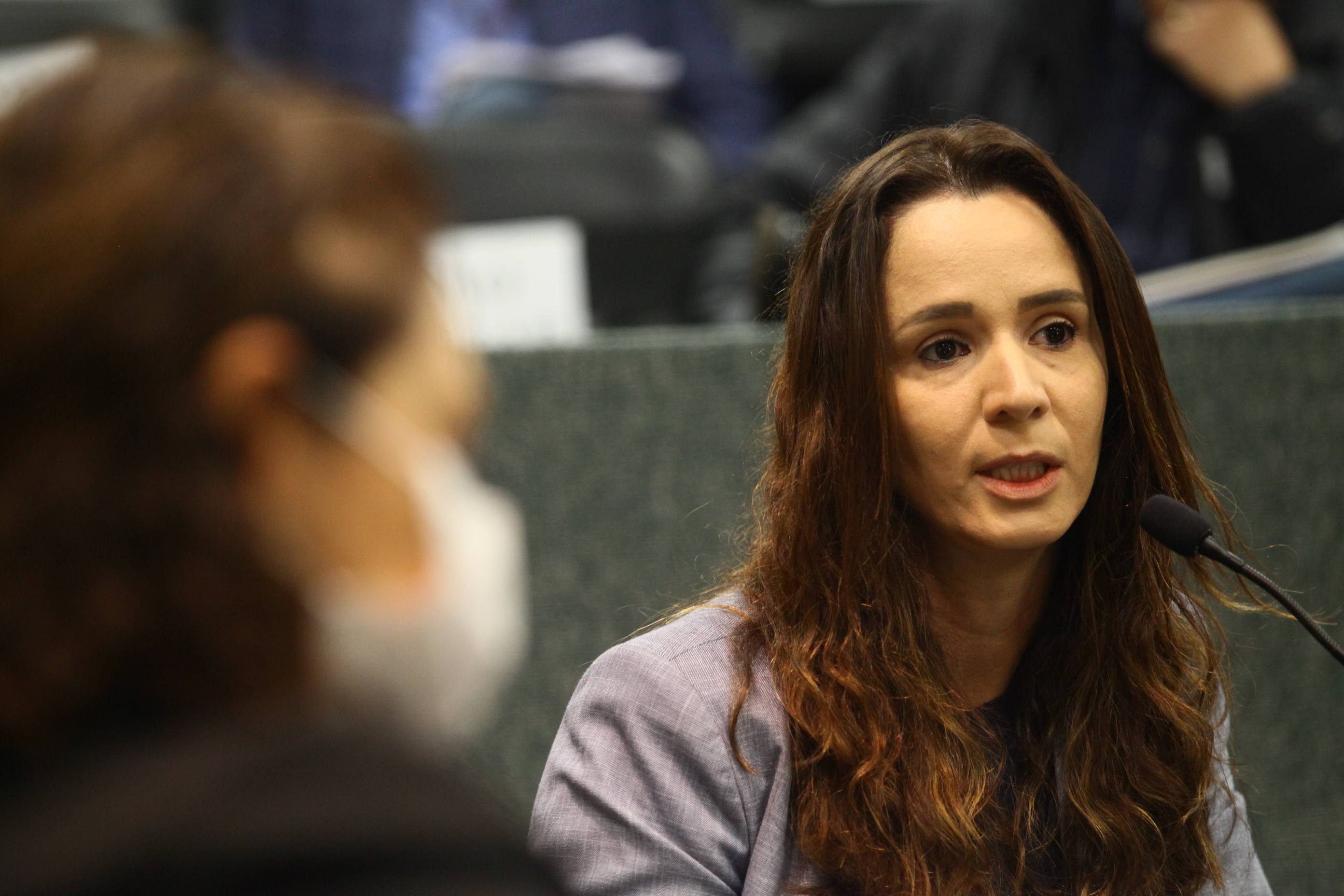 Comissão de Agricultura e Política Rural - Daniela Carneiro da Carmo (SAR)