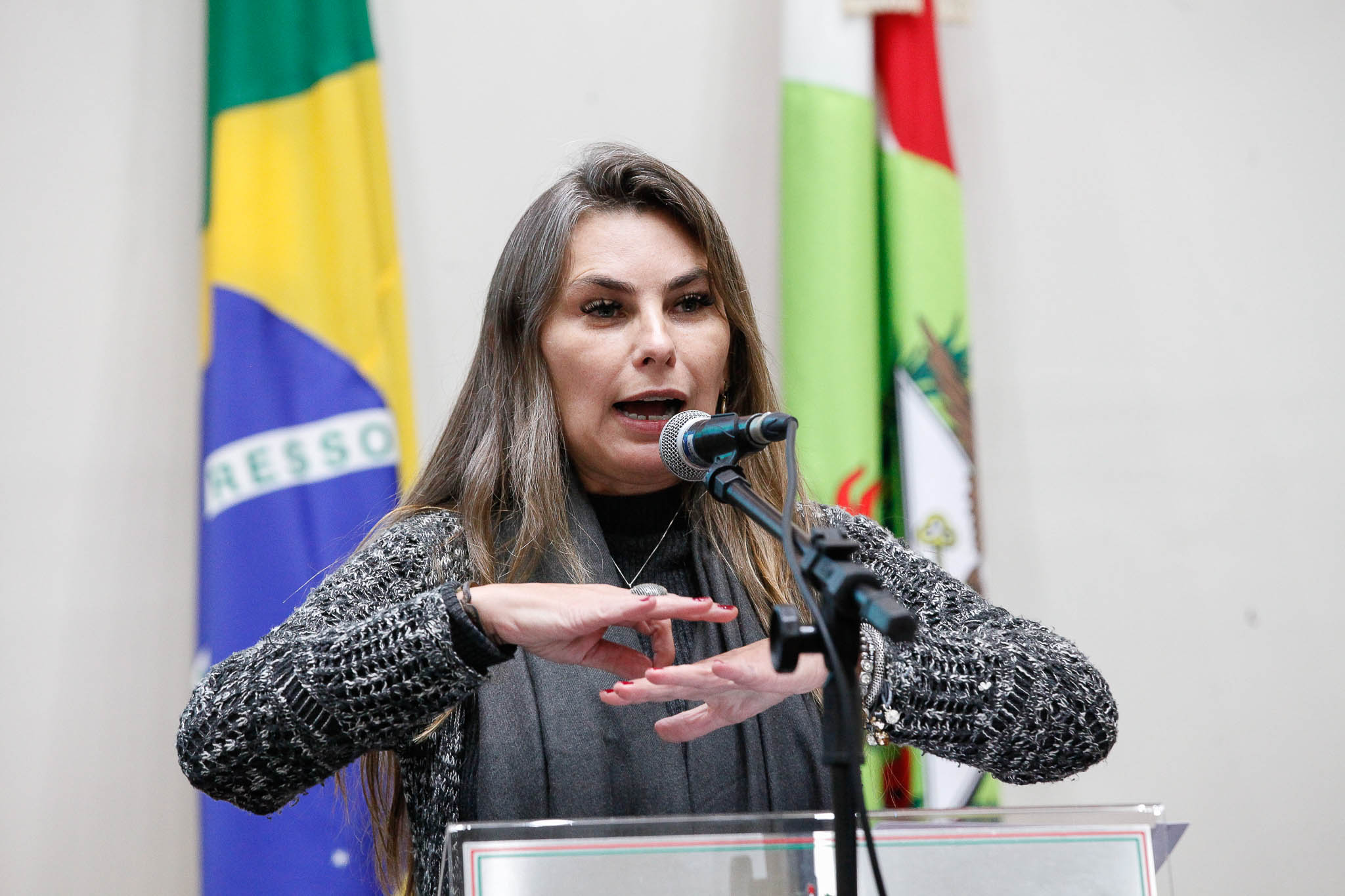 Deputada Ana Paula da Silva (PDT)