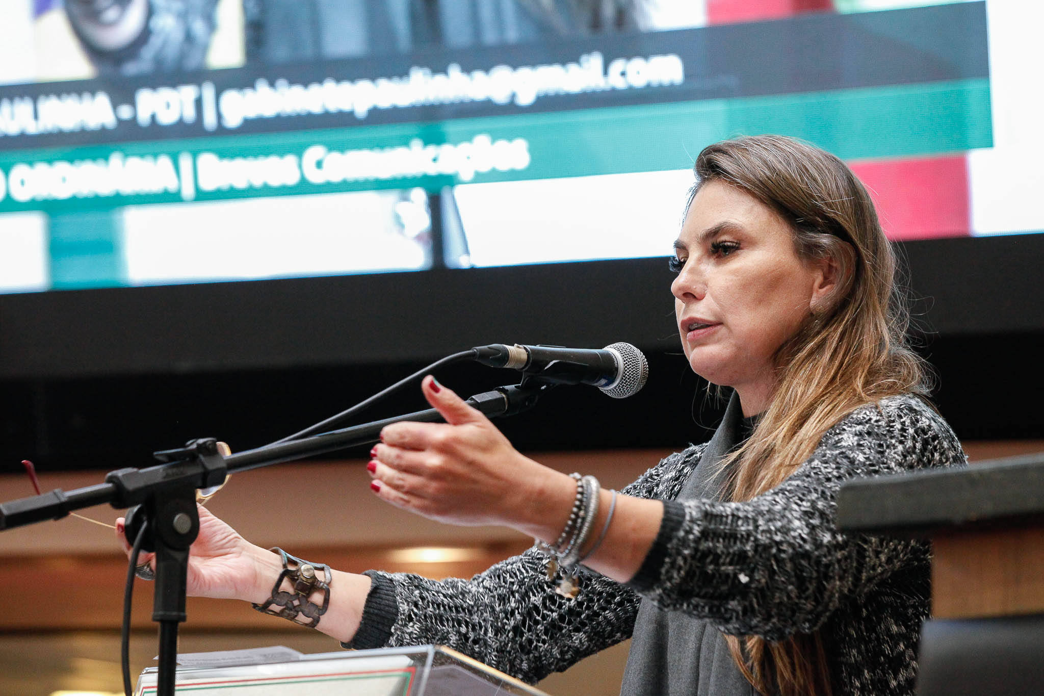 Deputada Ana Paula da Silva (PDT)
