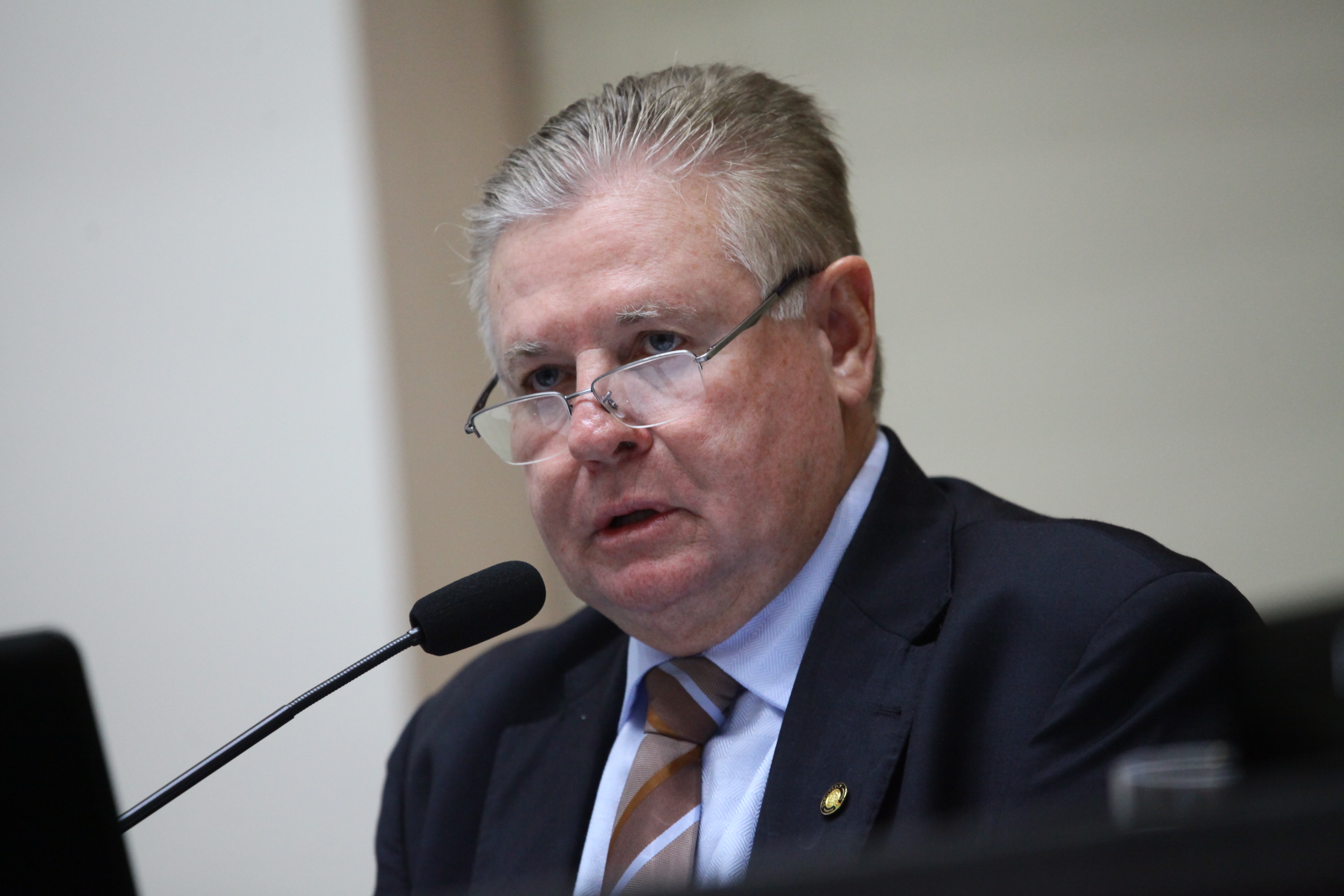 Sessão Ordinária - Deputado Nilso Berlanda (PL)