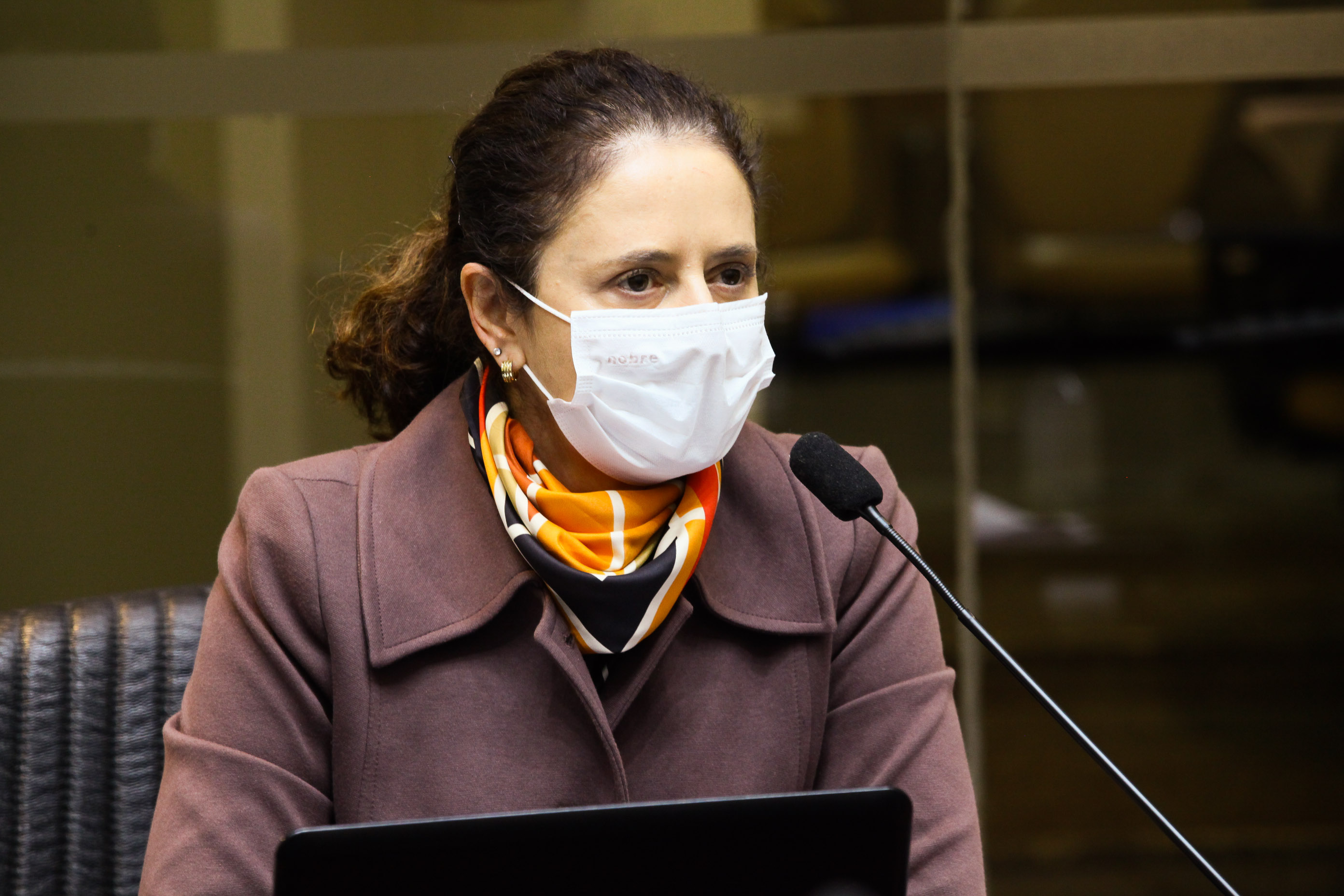 Comissão de Finanças e Tributação - Deputada Marlene Fengler (PSD)