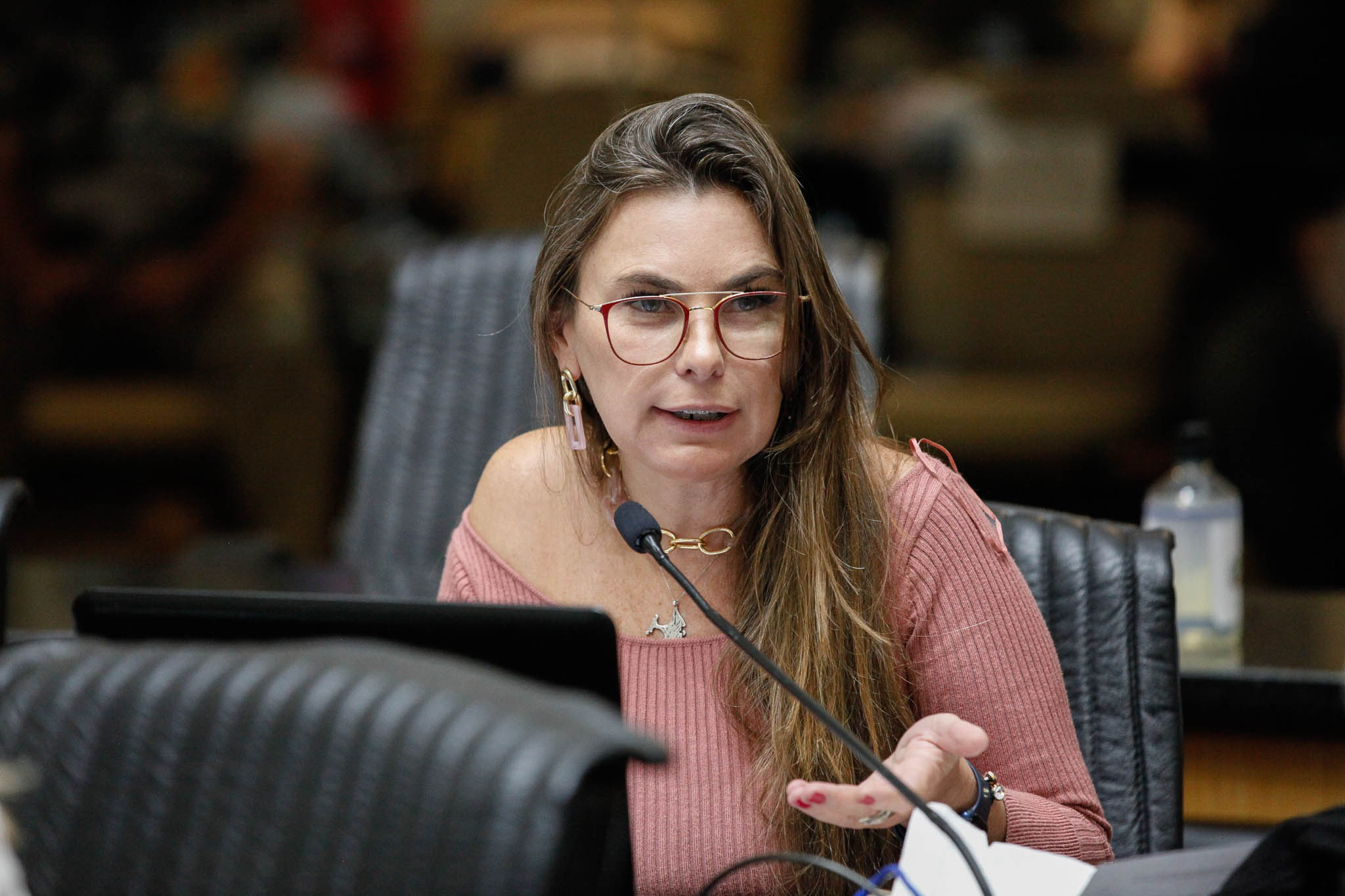 Deputada Ana Paula da Silva (PDT)