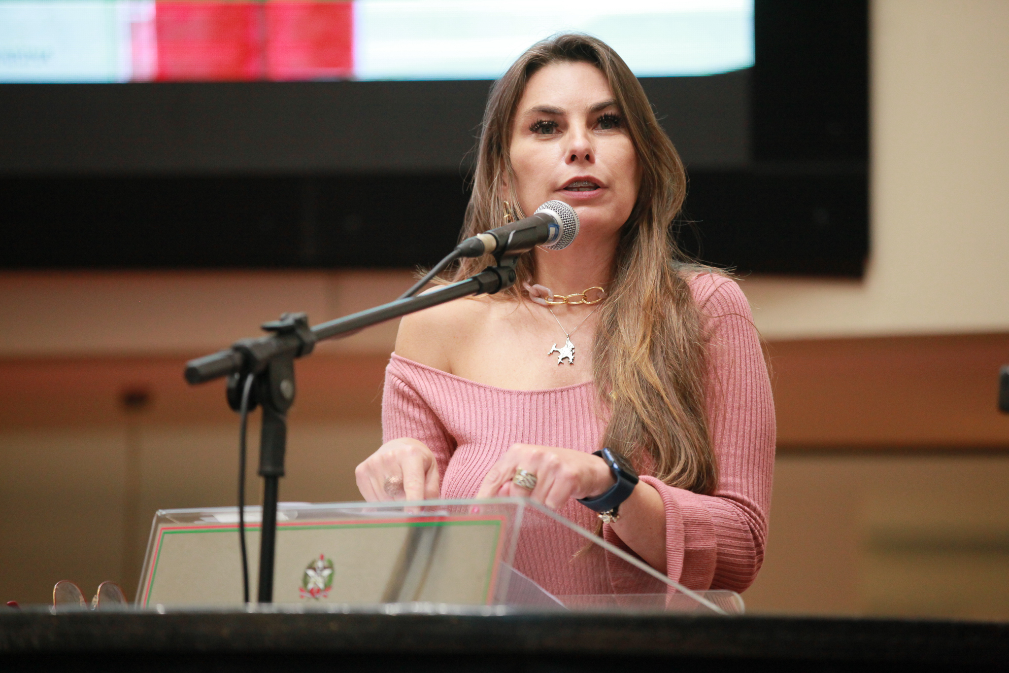 Deputada Ana Paula da Silva (-)