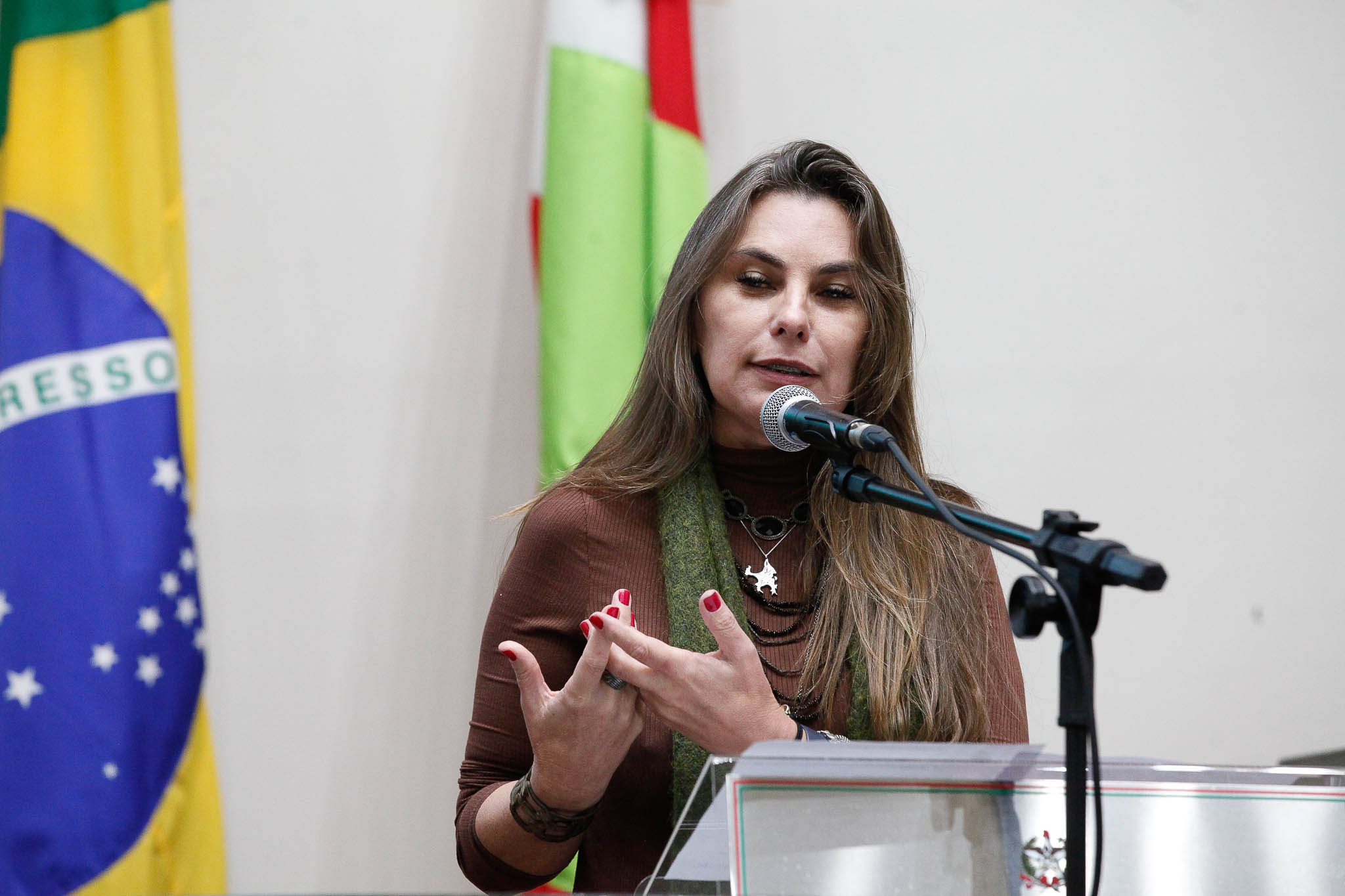 Deputada Ana Paula da Silva