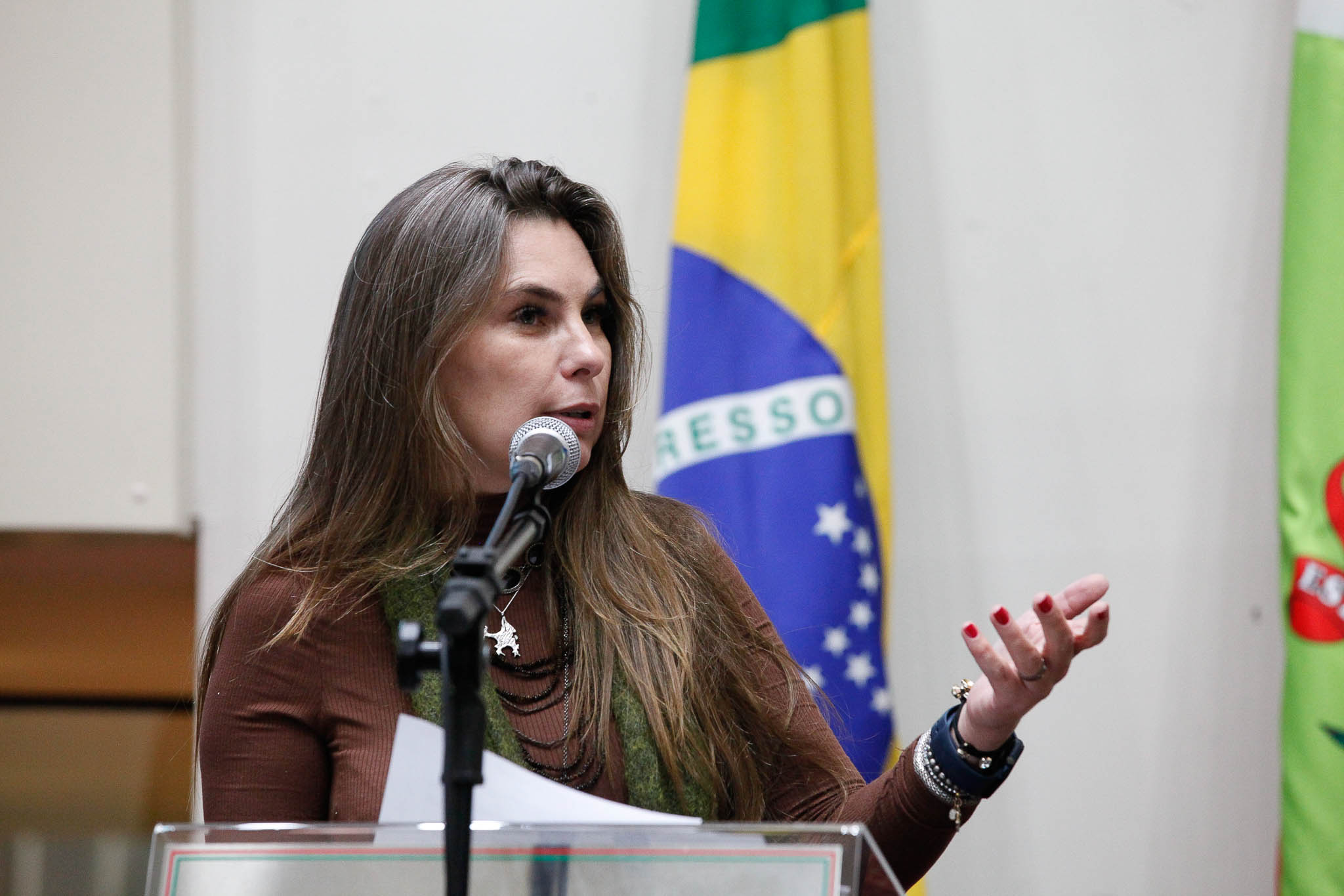 Deputada Ana Paula da Silva