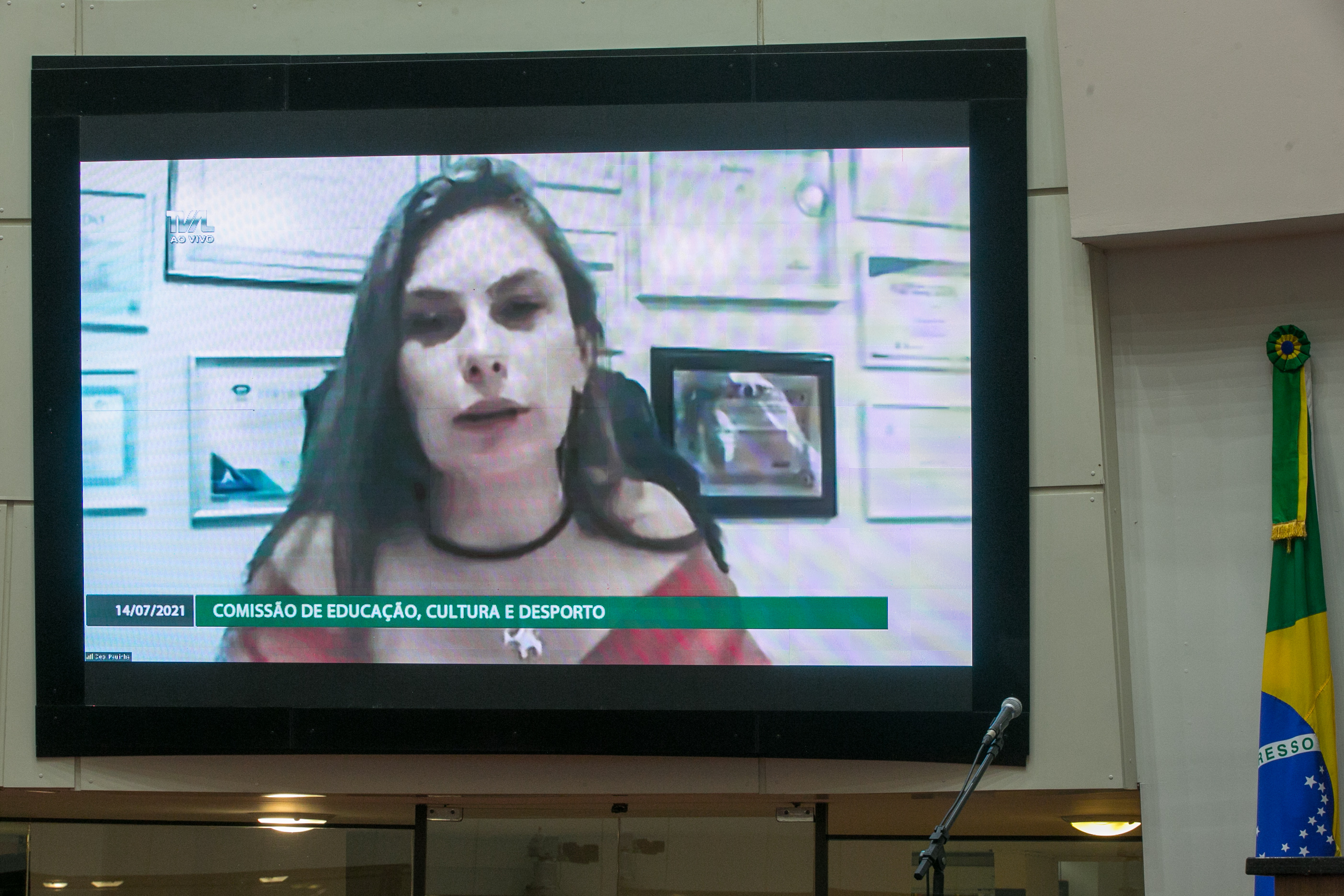 Deputada Paulinha (Sem Partido)