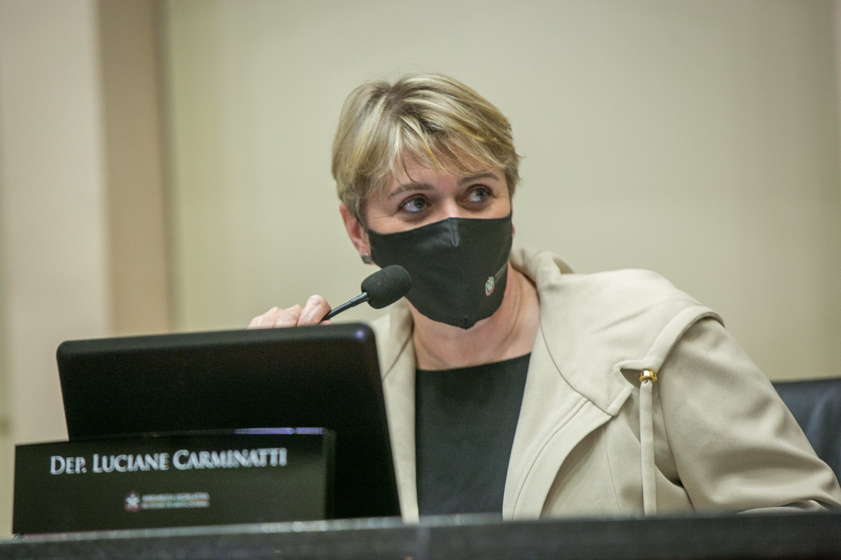Deputada Luciane Carminatti (PT)