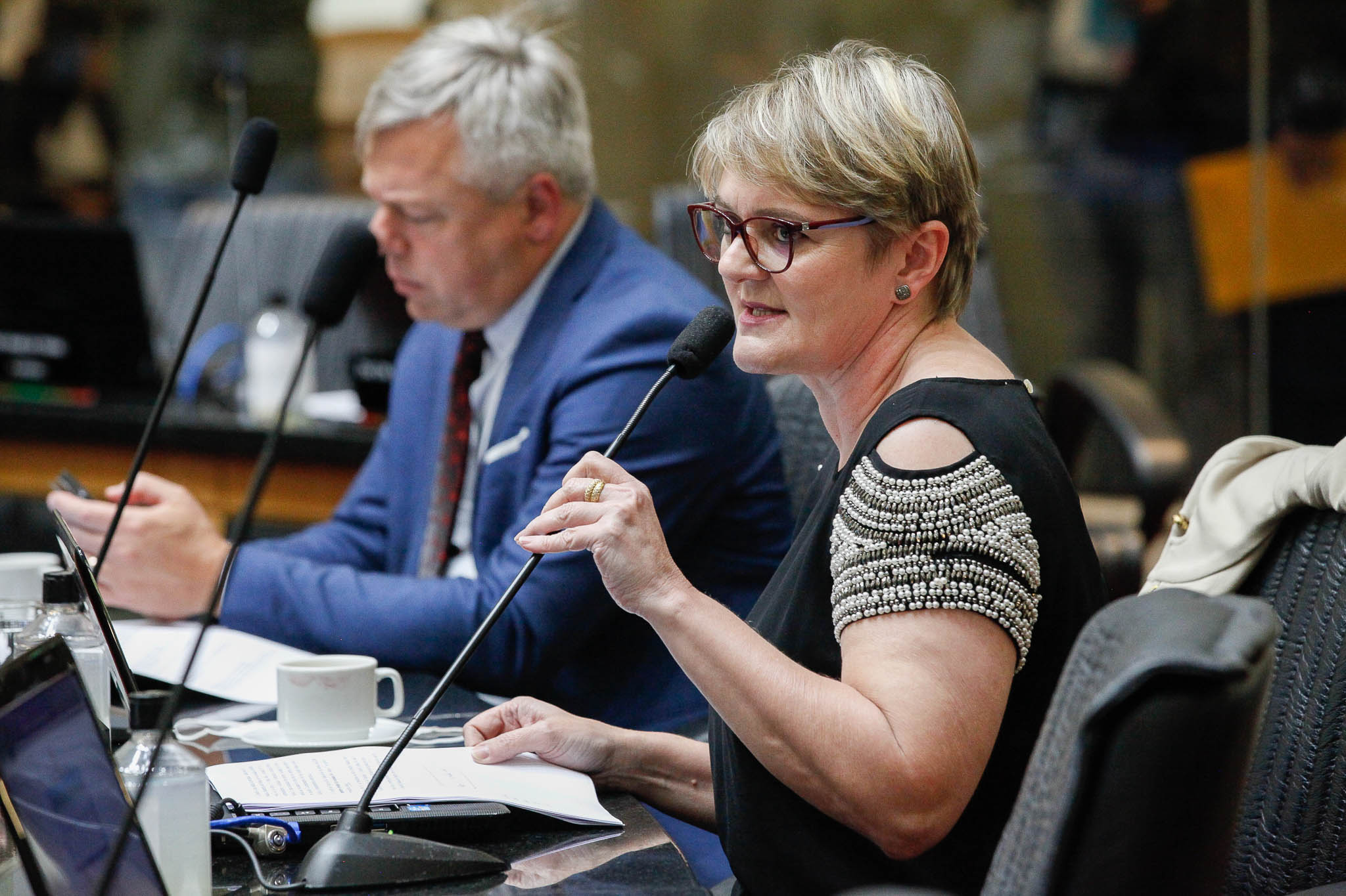 Deputada Luciane Carminatti (PT)