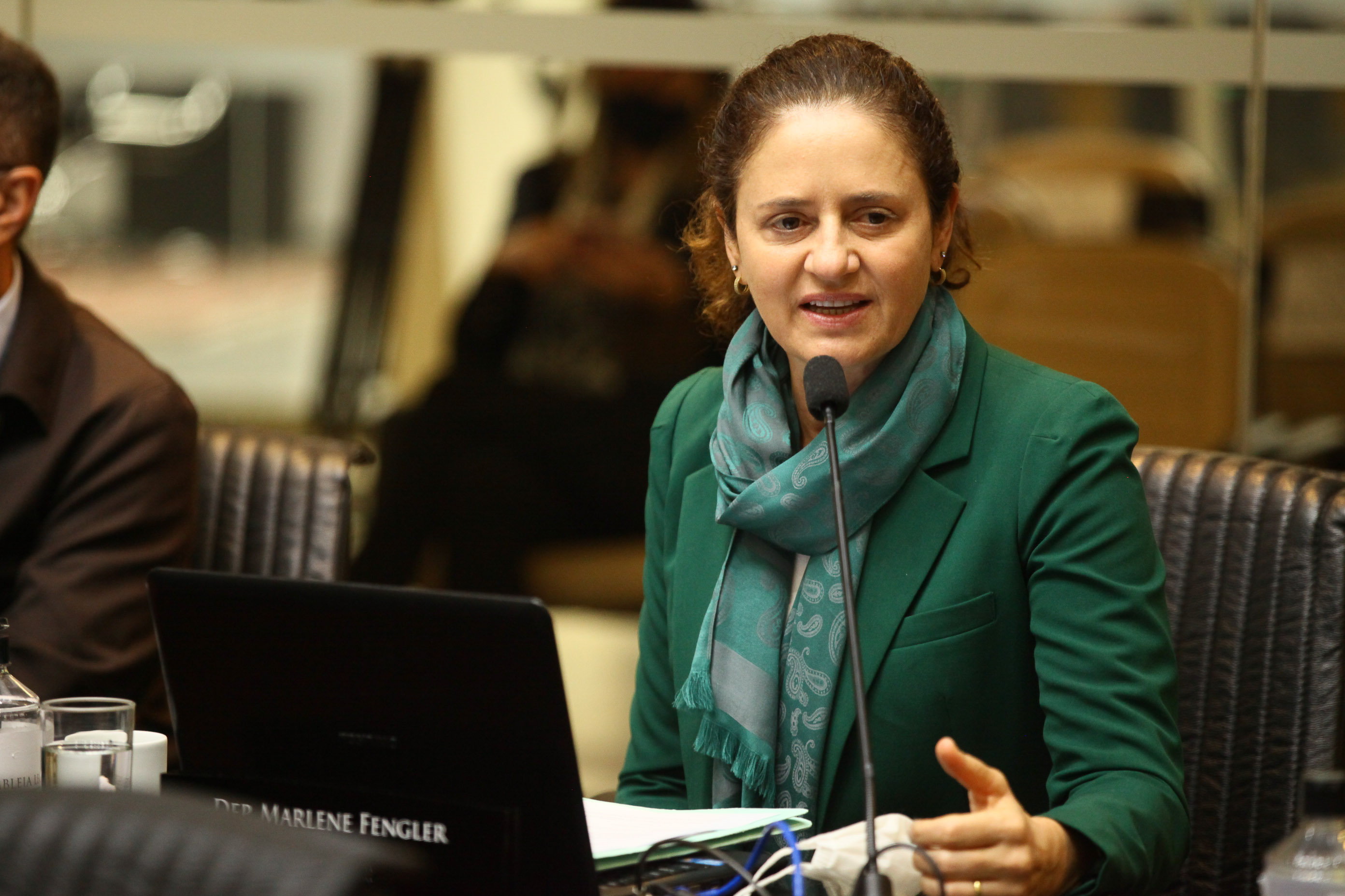 Comissão de Turismo e Meio Ambiente - Deputada Marlene Fengler (PSD)