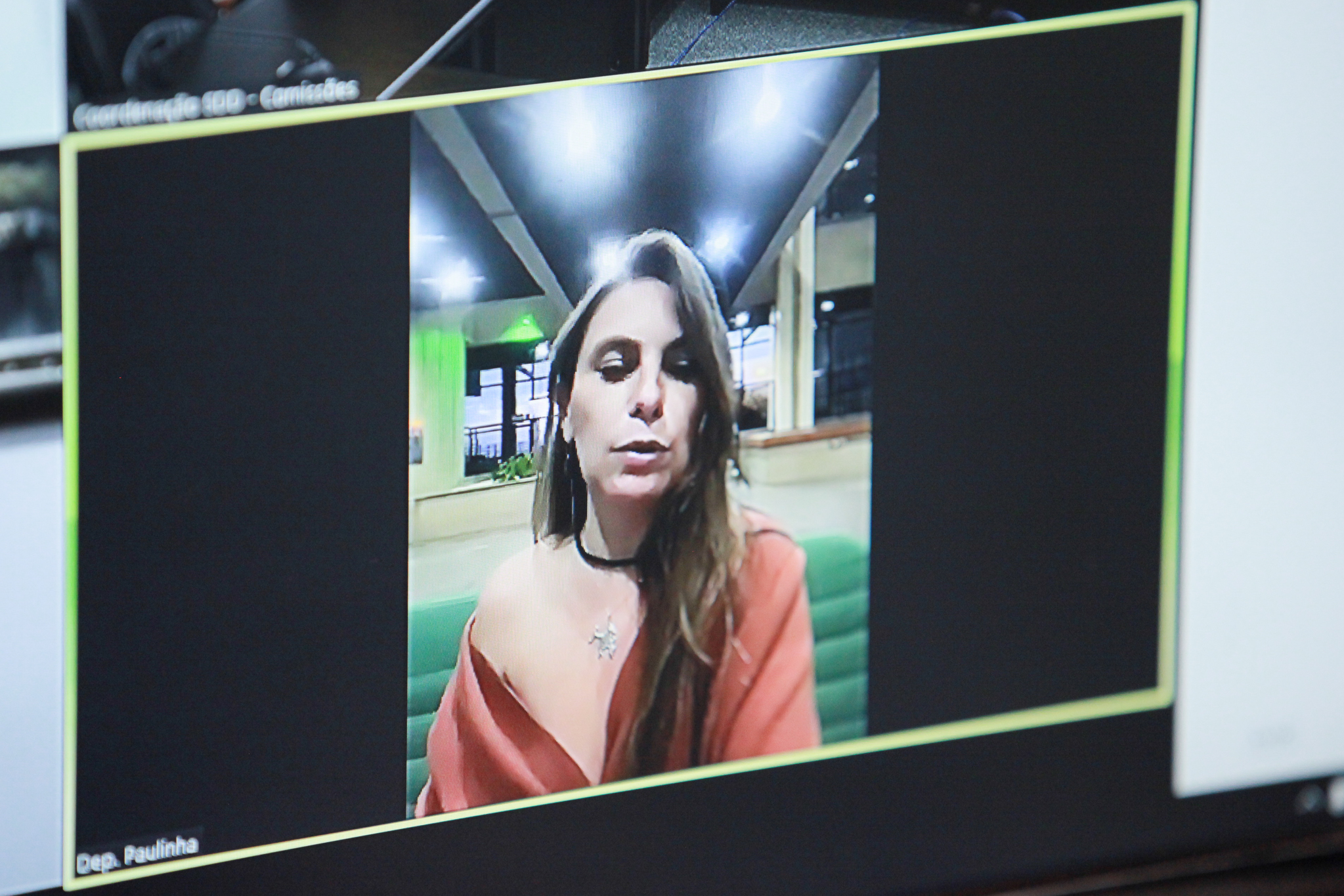 Deputada Ana Paula da Silva (-)