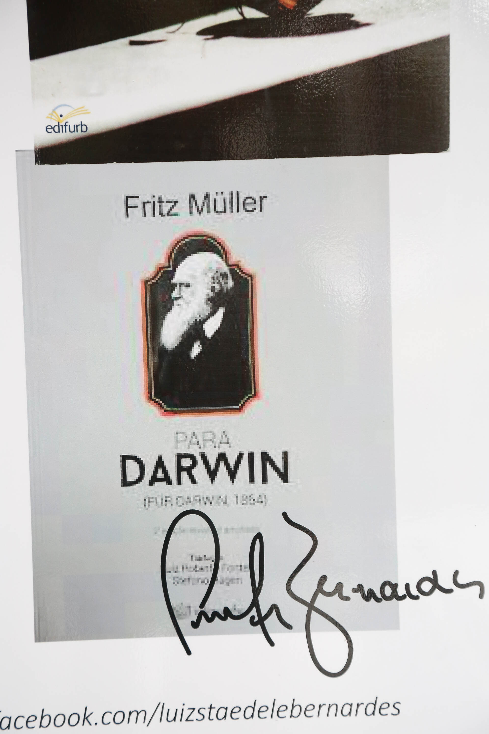 Exposição de Fritz Mülller - Prefeitura de Blumenau
