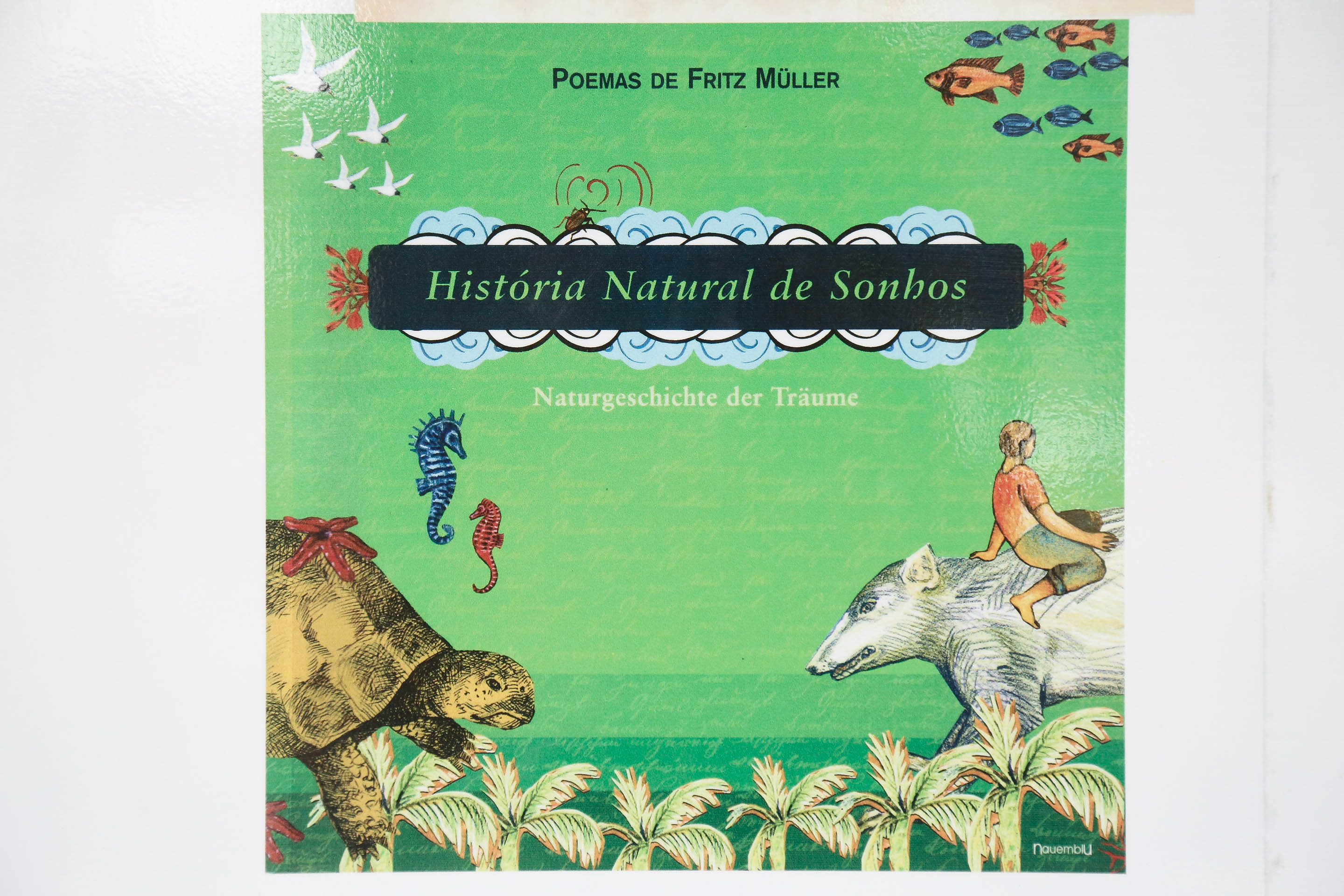 Exposição de Fritz Mülller - Prefeitura de Blumenau