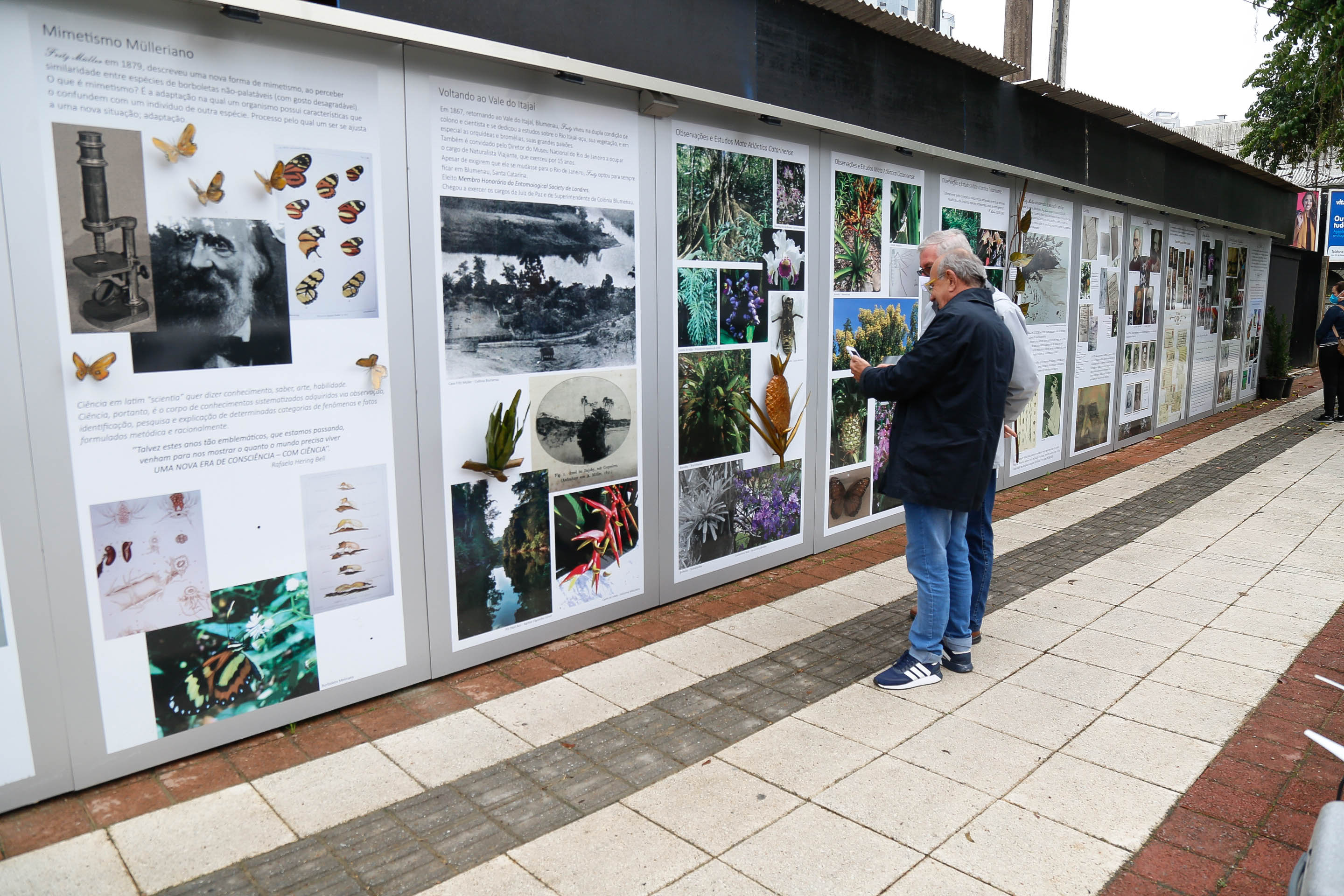 Galeria de Fritz Müller a Céu Aberto na Alameda Rio Branco/Blumenau