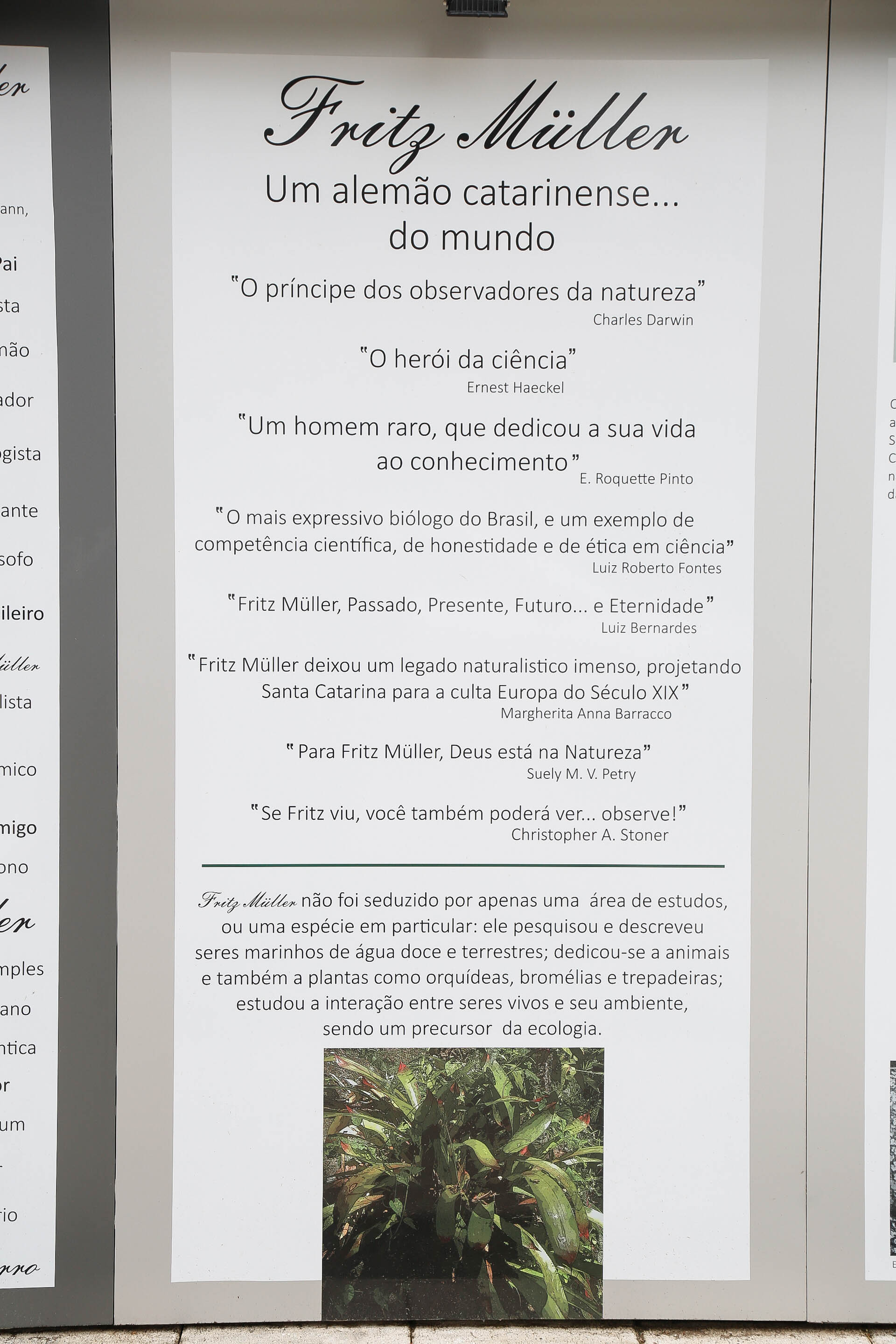 Galeria de Fritz Müller a Céu Aberto na Alameda Rio Branco/Blumenau