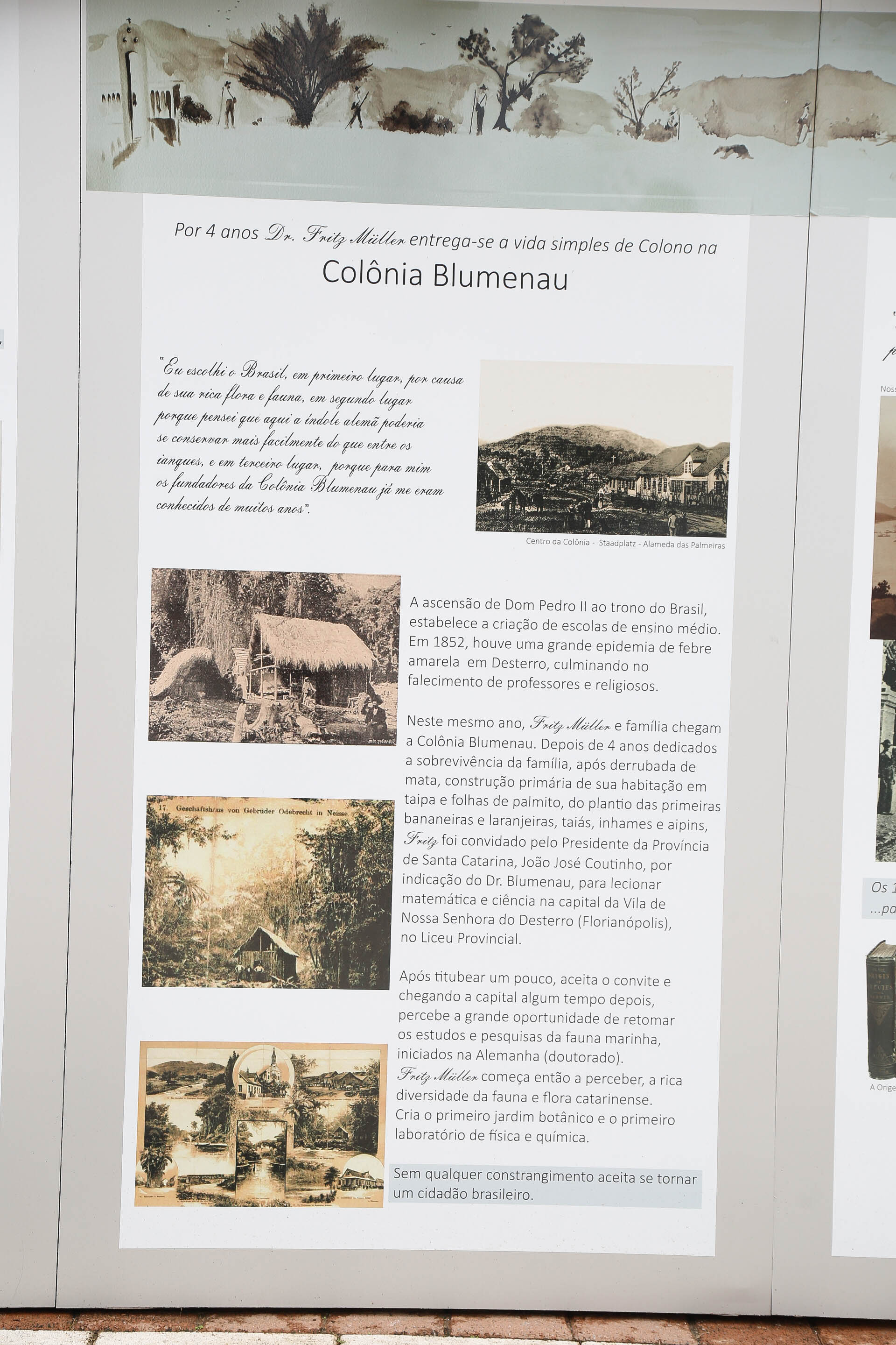 Galeria de Fritz Müller a Céu Aberto na Alameda Rio Branco/Blumenau