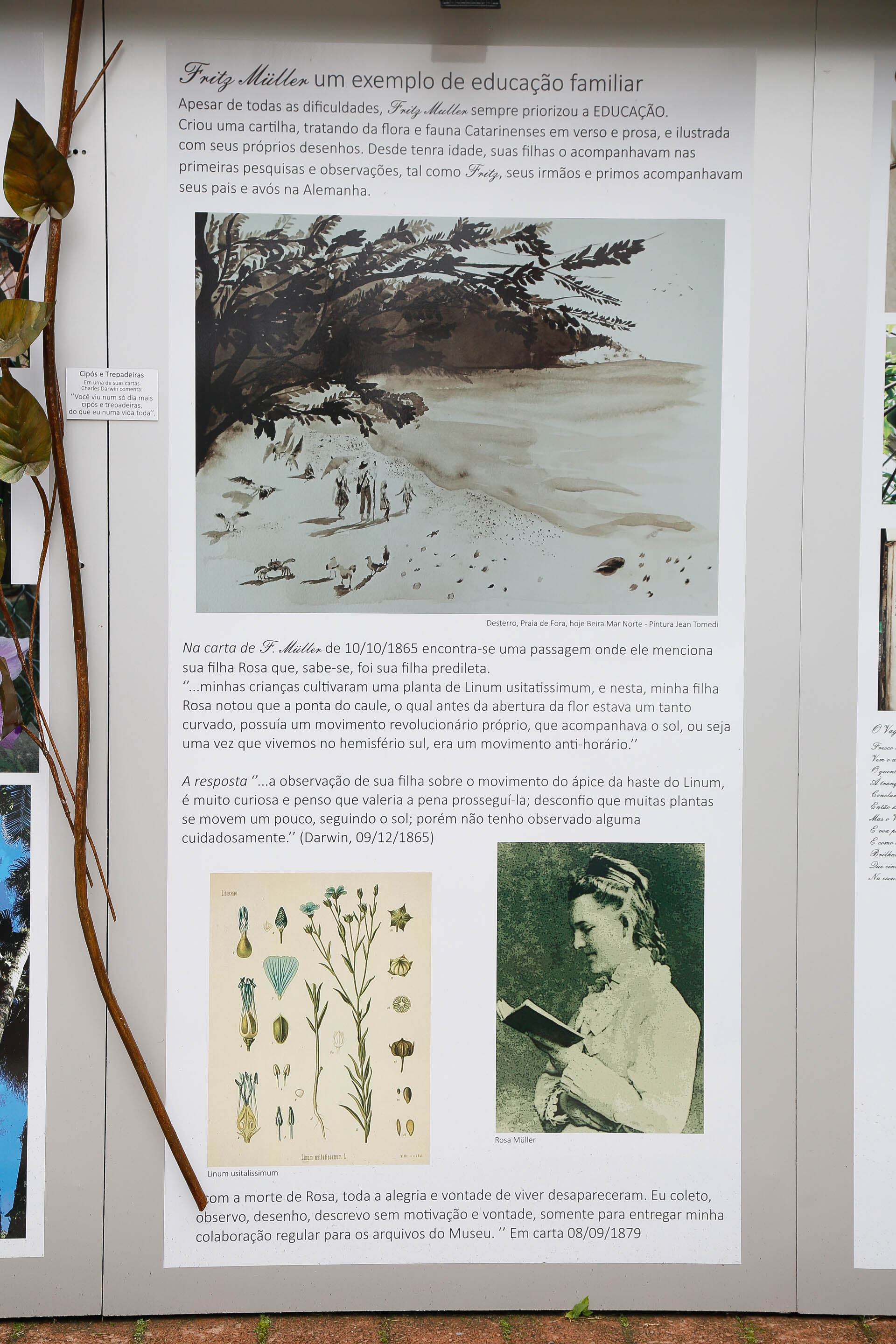 Galeria de Fritz Müller a Céu Aberto na Alameda Rio Branco/Blumenau