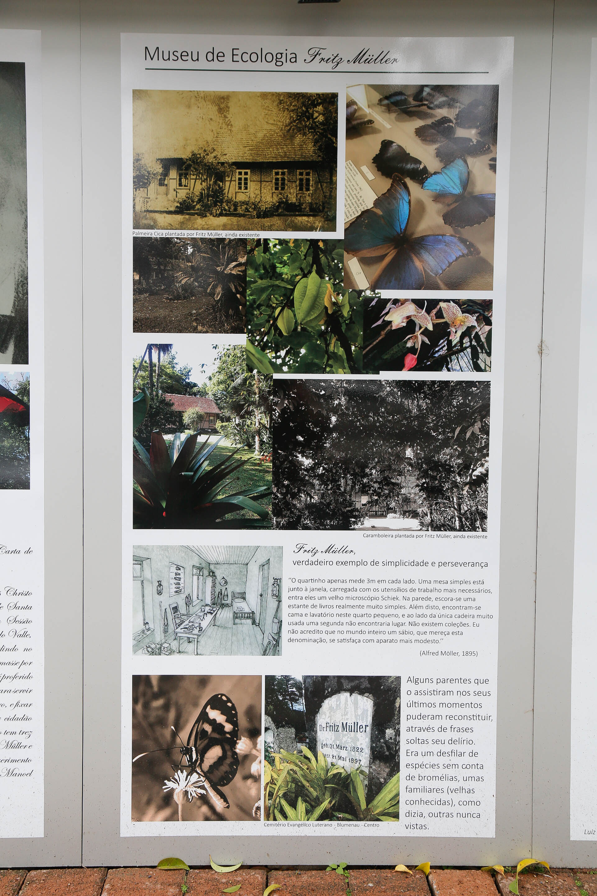 Galeria de Fritz Müller a Céu Aberto na Alameda Rio Branco/Blumenau
