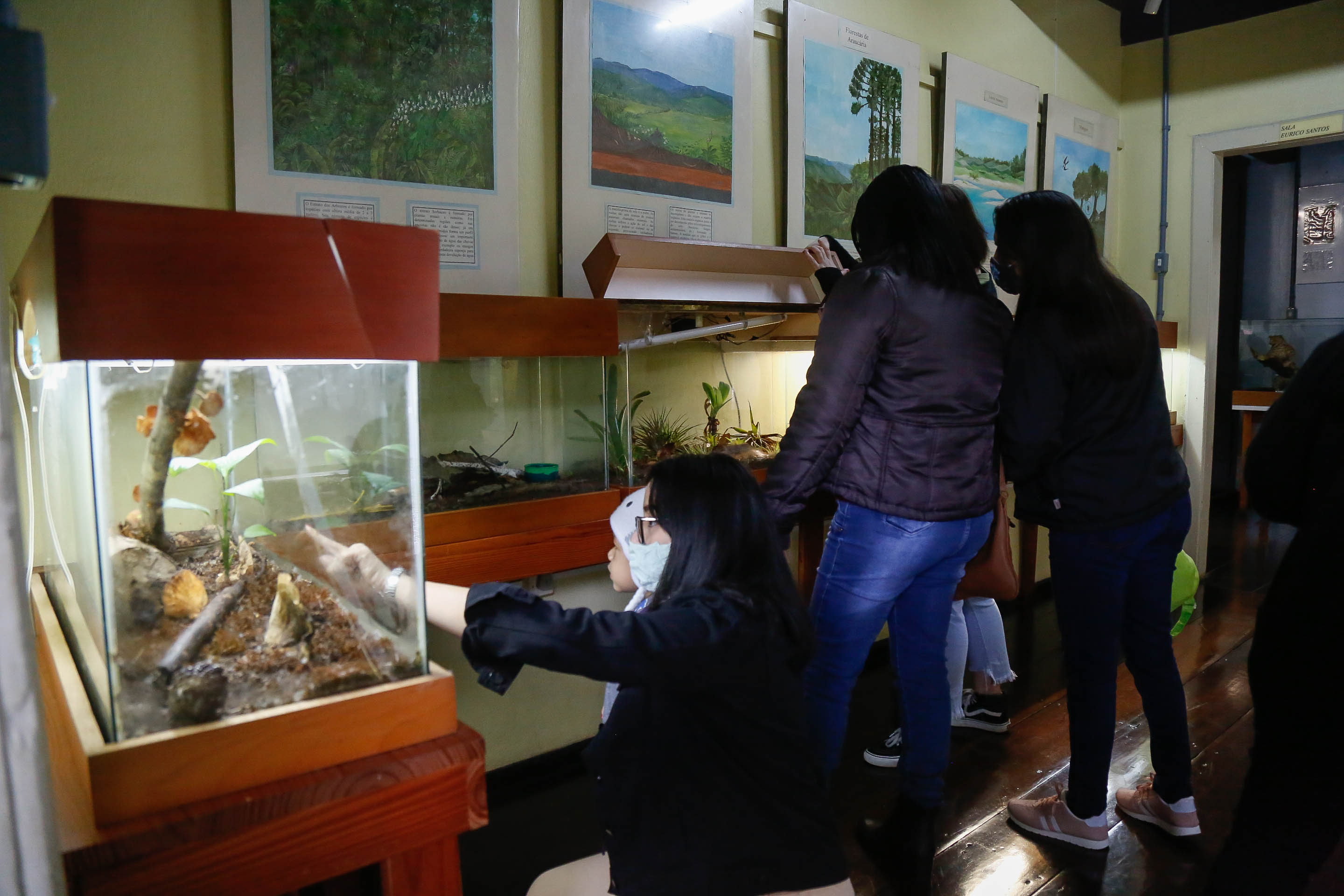 Museu de Ecologia Fritz Müller