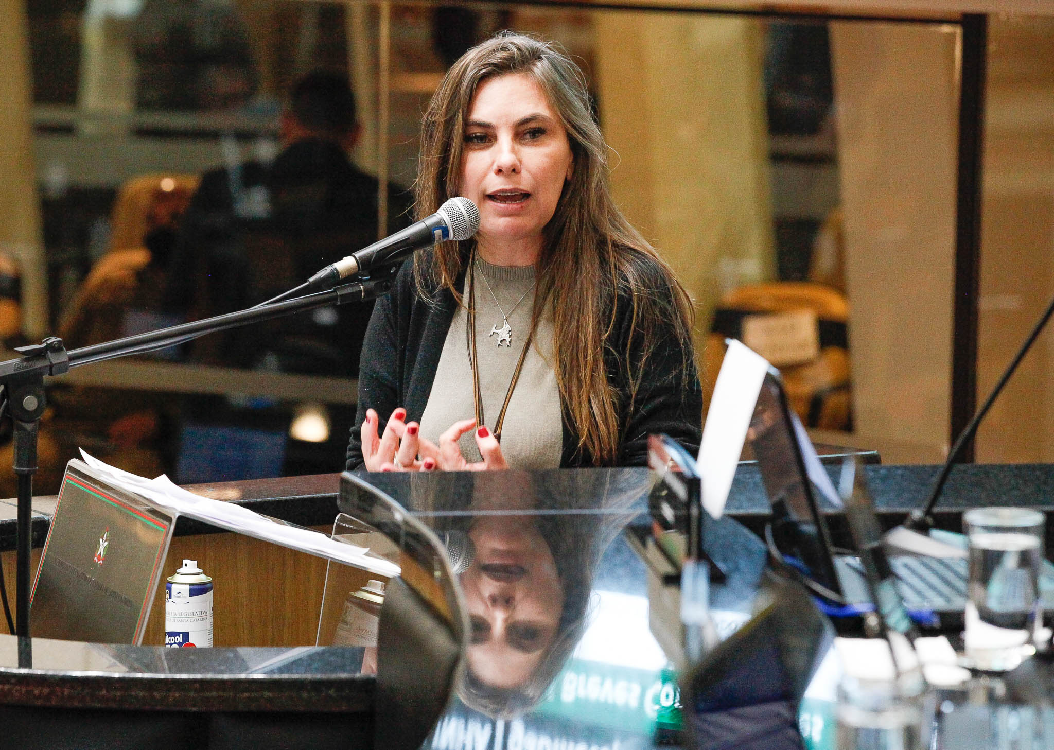 Deputada Ana Paula da Silva (Sem Partido)