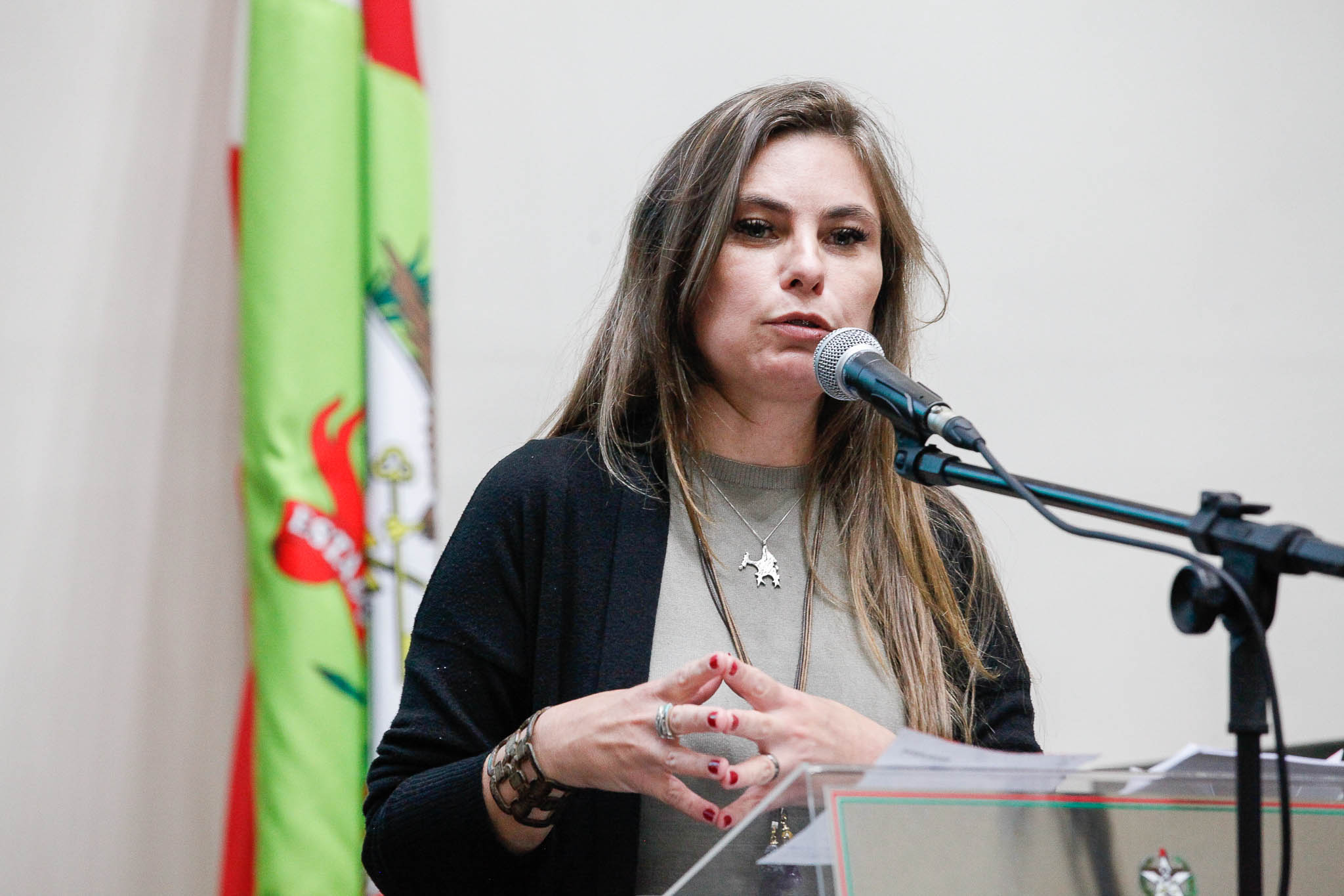 Deputada Ana Paula da Silva (Sem Partido)