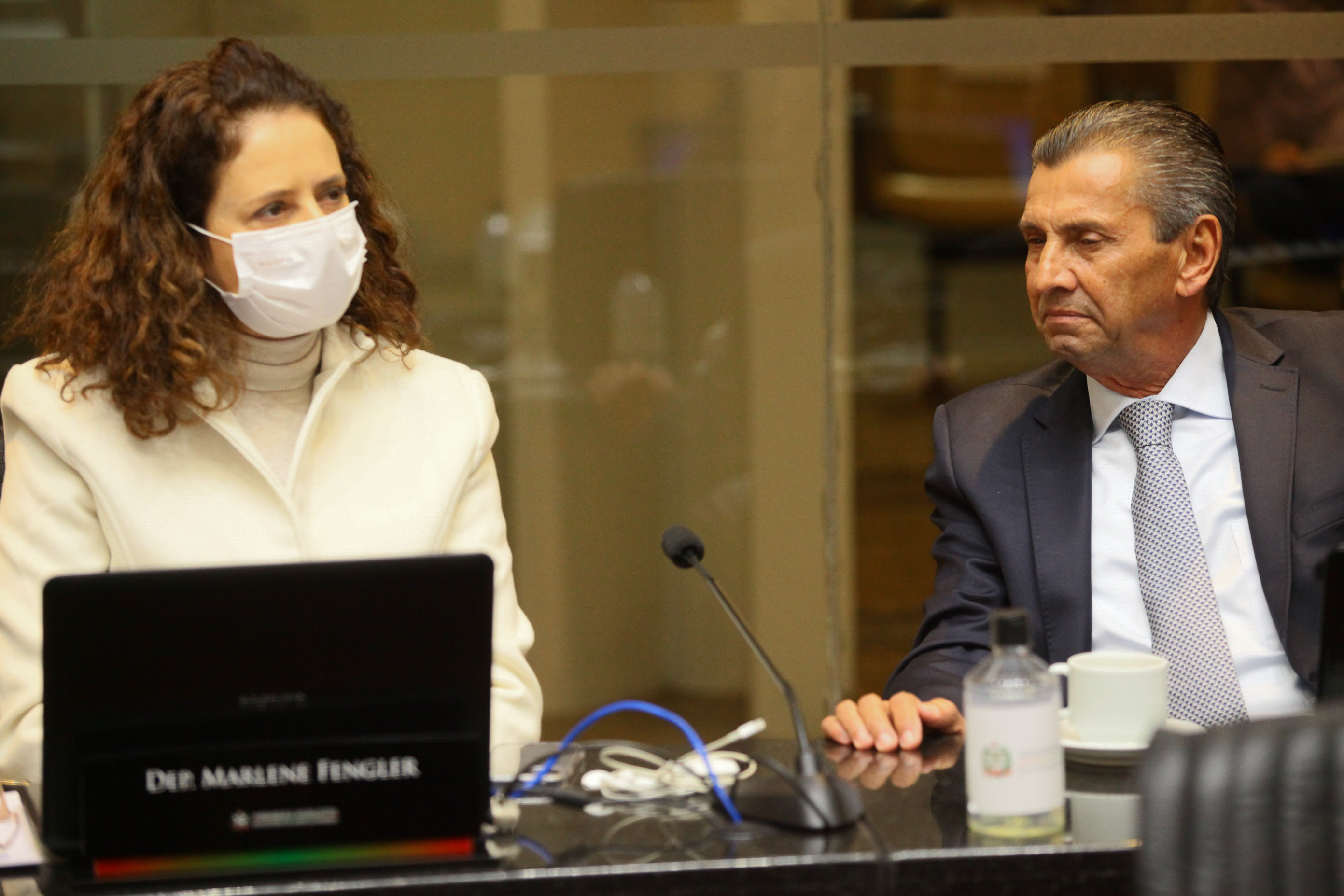 Reunião Conjunta das Comissões de Constituição e Justiça , de Finanças e de Trabalho - Deputada Marlene Fengler (PSD) e deputado Júlio Garcia (PSD)