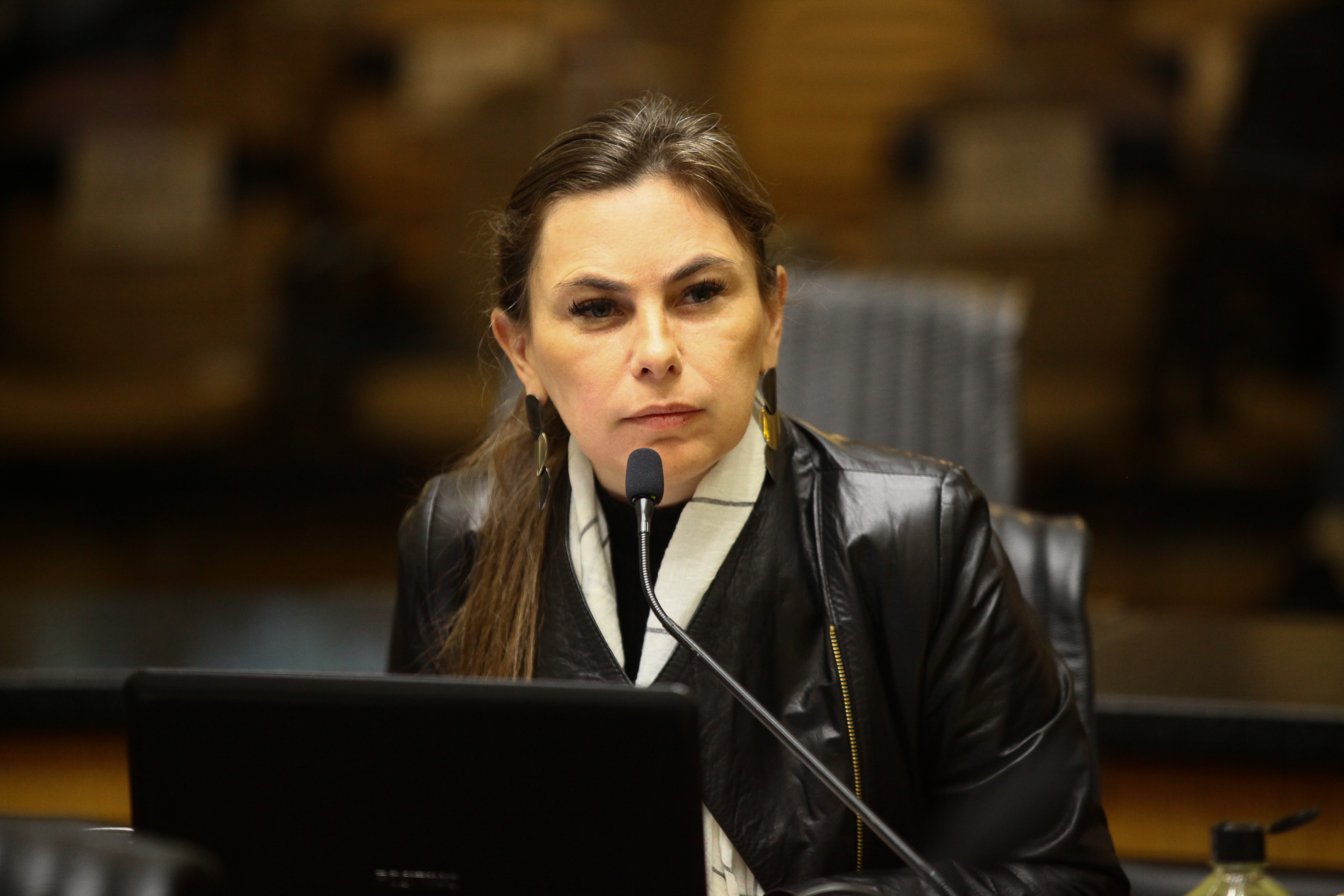 Reunião Conjunta das Comissões de Constituição e Justiça , de Finanças e de Trabalho - Deputada Ana Paula da Silva (PDT)