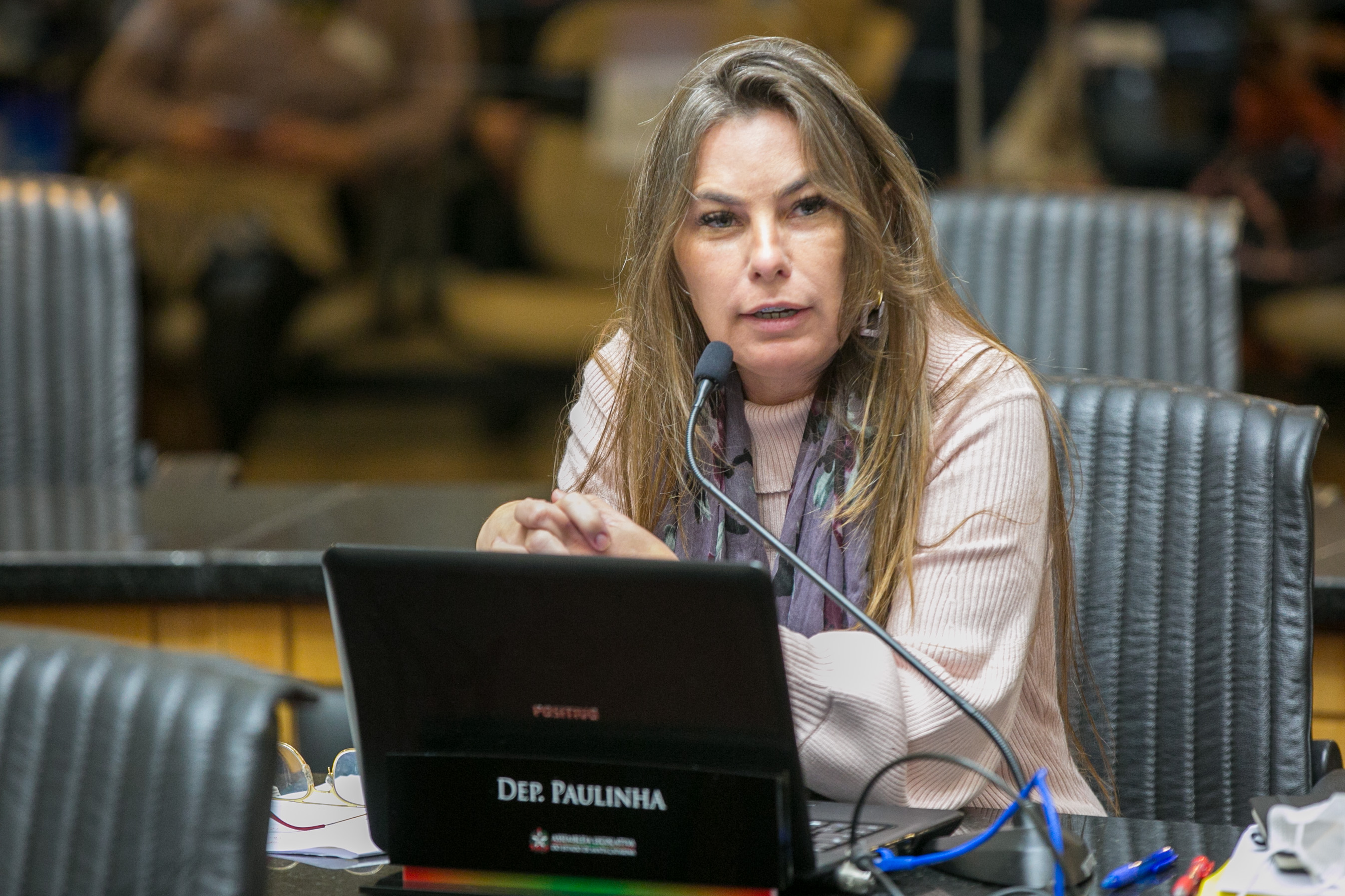 Deputada Paulinha (Sem Partido)