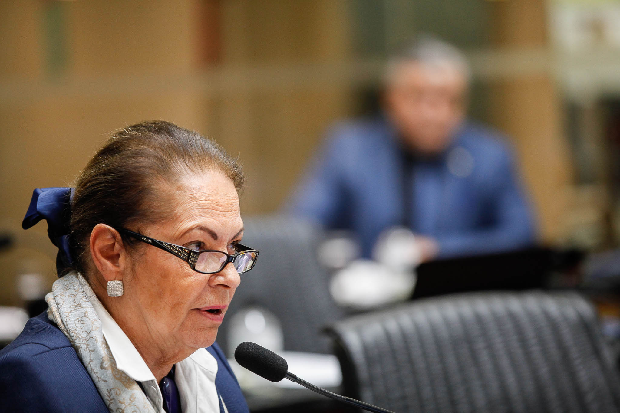 Deputada Ada Faraco de Luca (MDB)