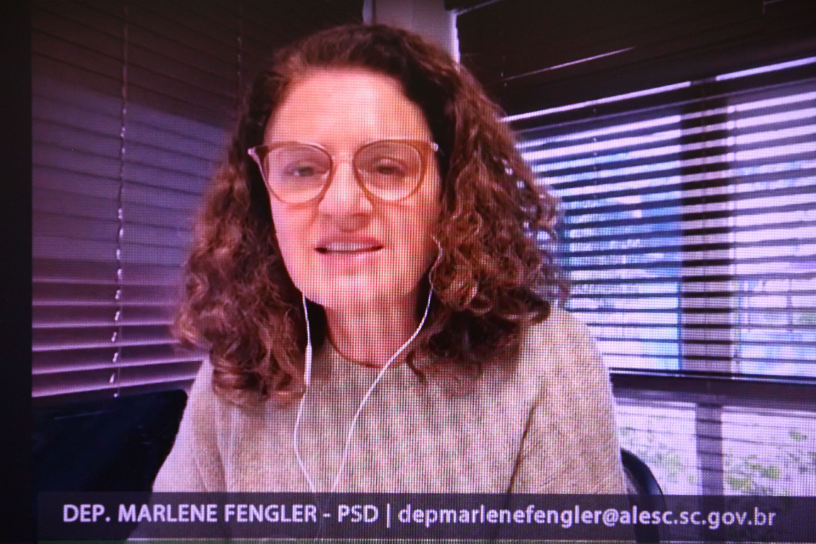 Comissão de Defesa dos Direitos da Pessoa com Deficiência - Deputada Marlene Fengler (PSD)