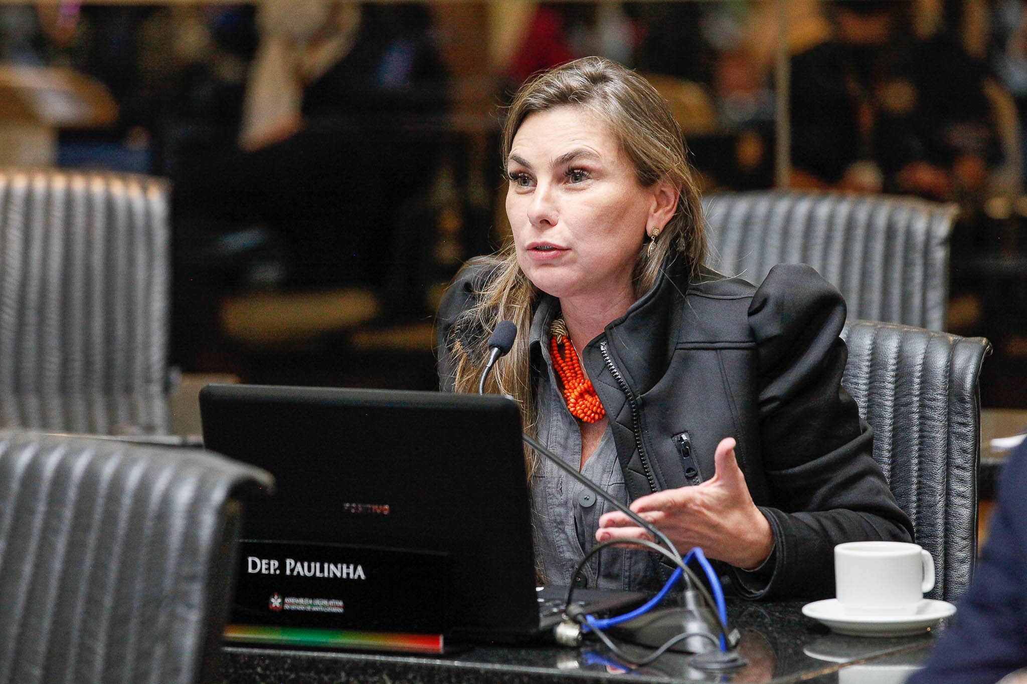 Deputada Ana Paula da Silva (Sem Partido)