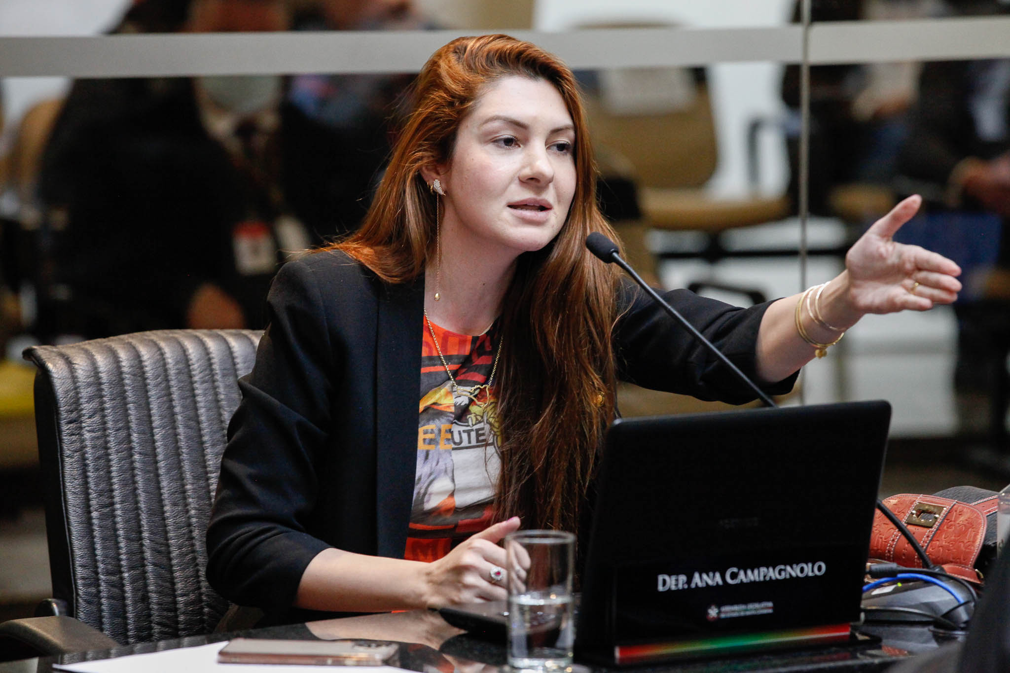 Deputada Ana Caroline Campagnolo (PSL)