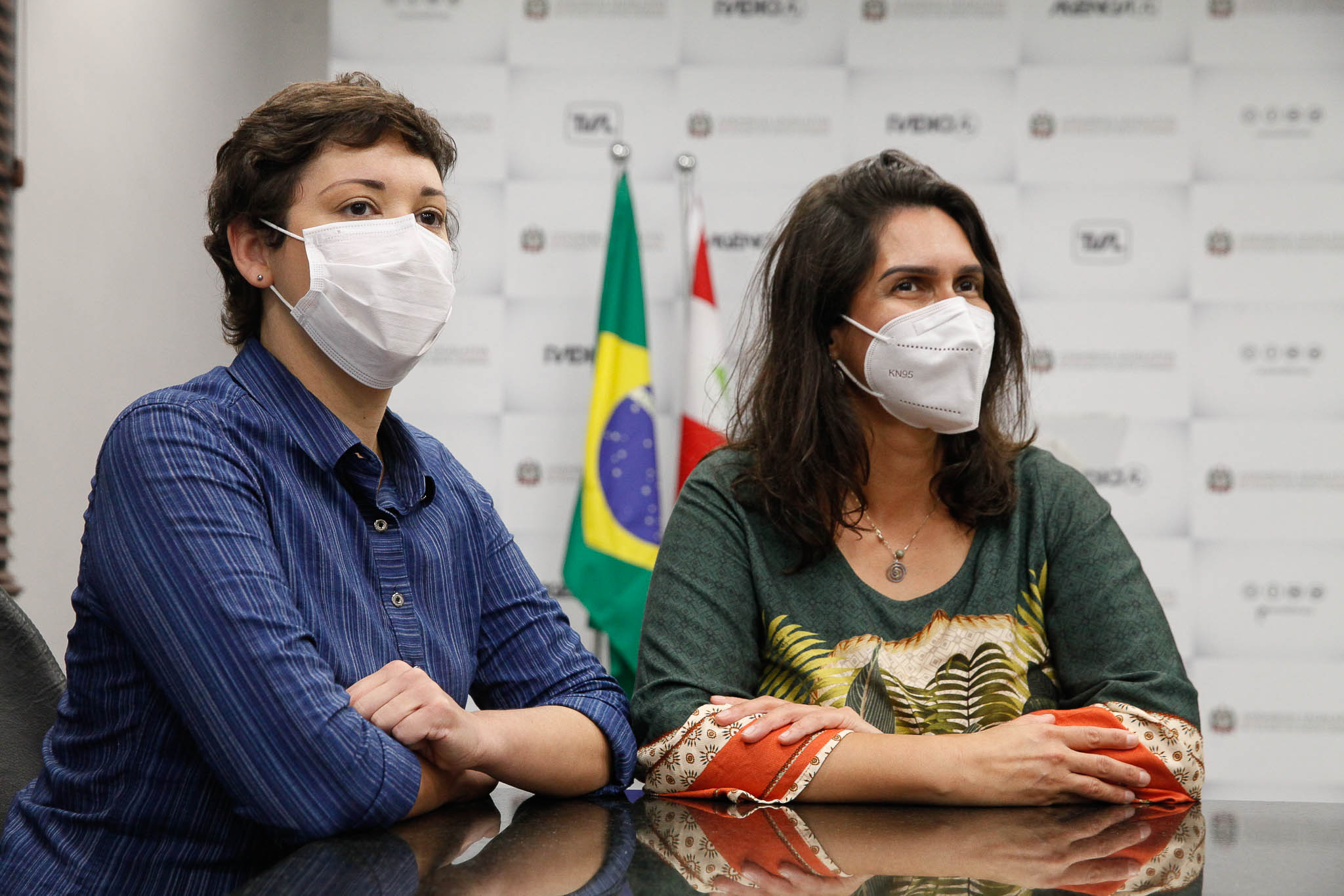 Laura Josani Andrade Correa e Aline Covolo Ravara / Publicação Internacional