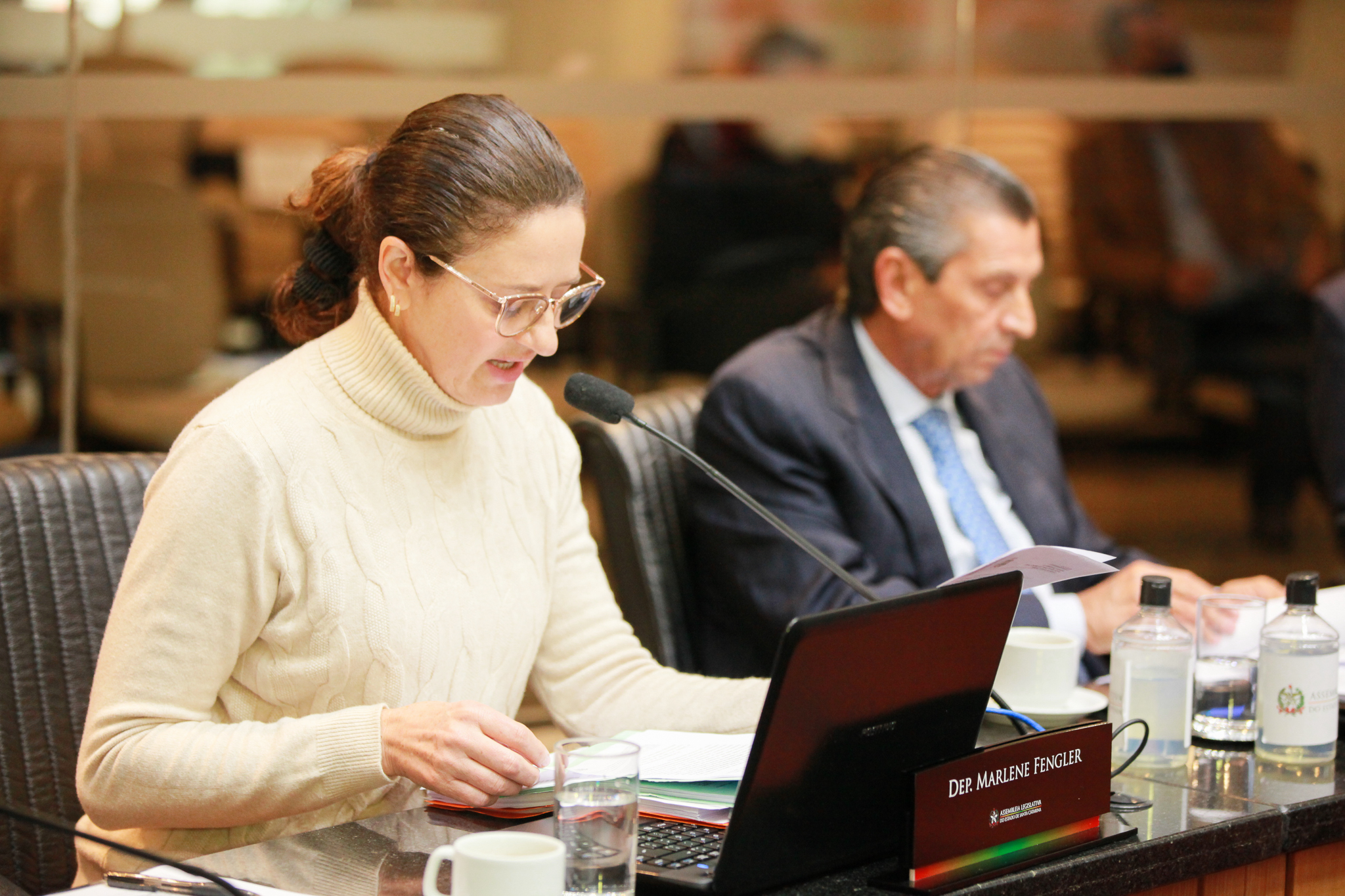 Deputada Marlene Fengler (PSD)