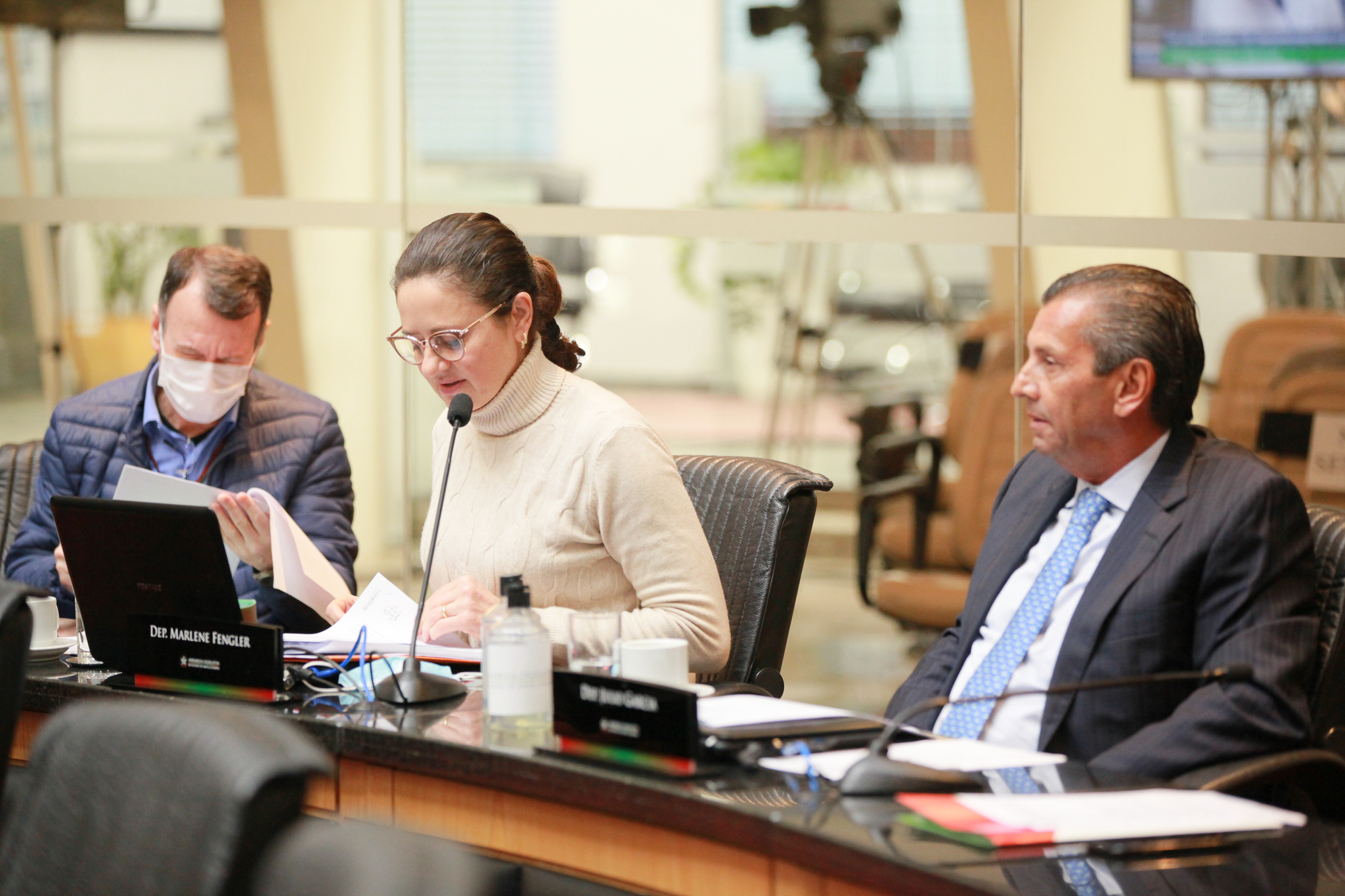 Deputada Marlene Fengler (PSD)