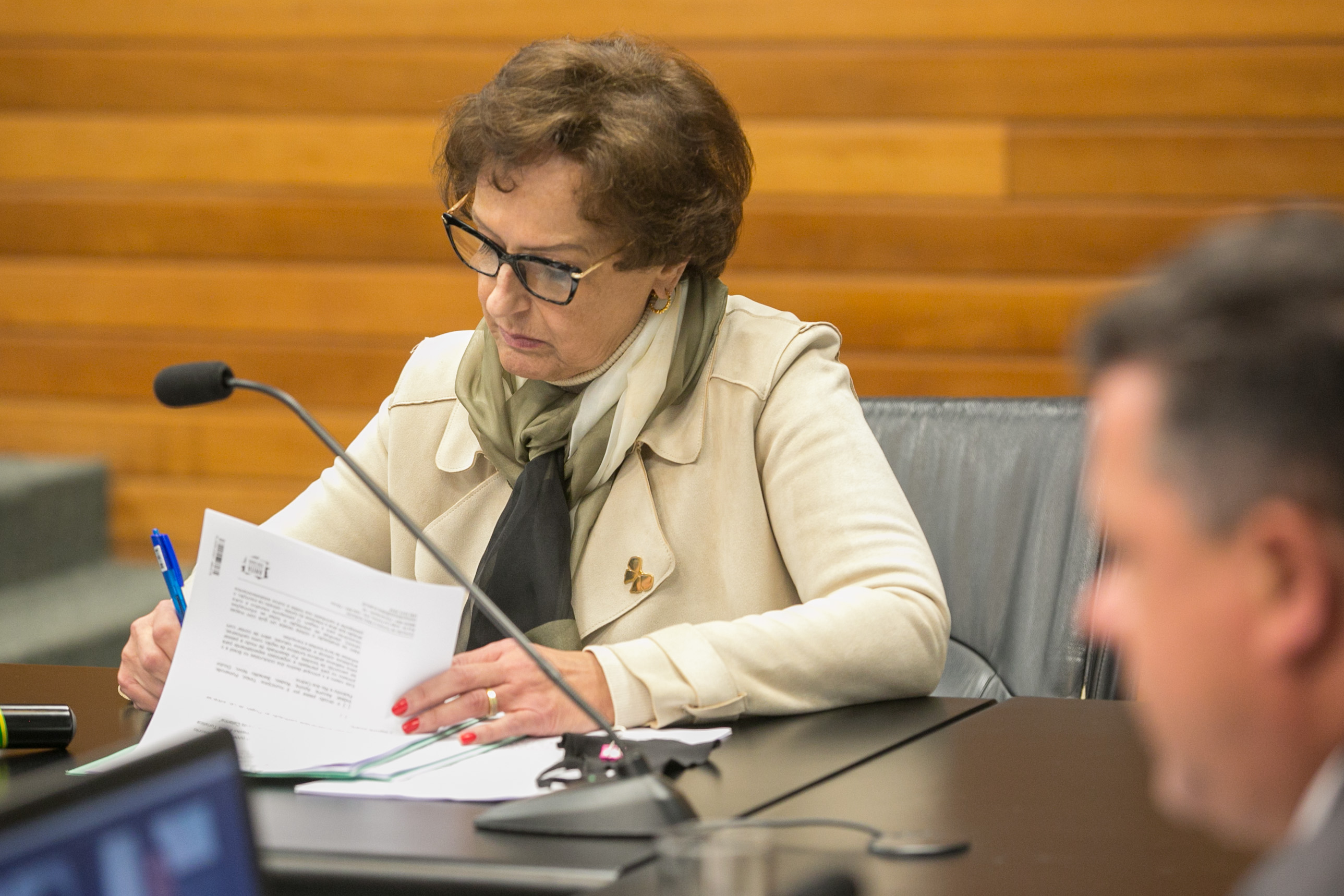 Deputada Dirce Heiderscheidt (MDB)