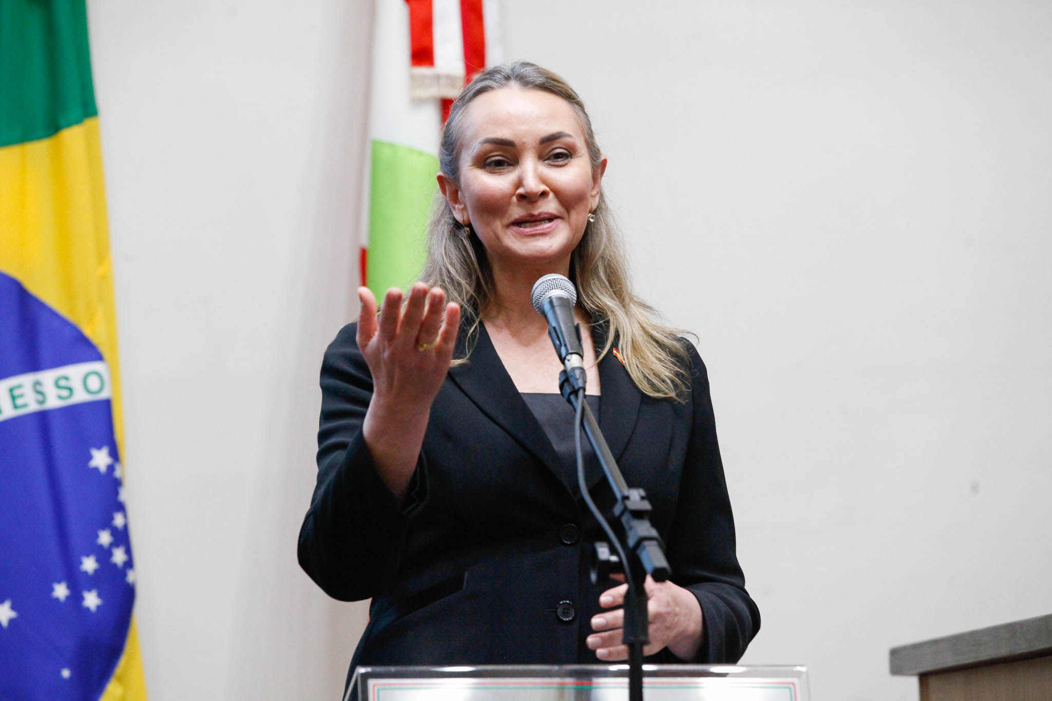 Vice-Governadora, Daniela Reinehr