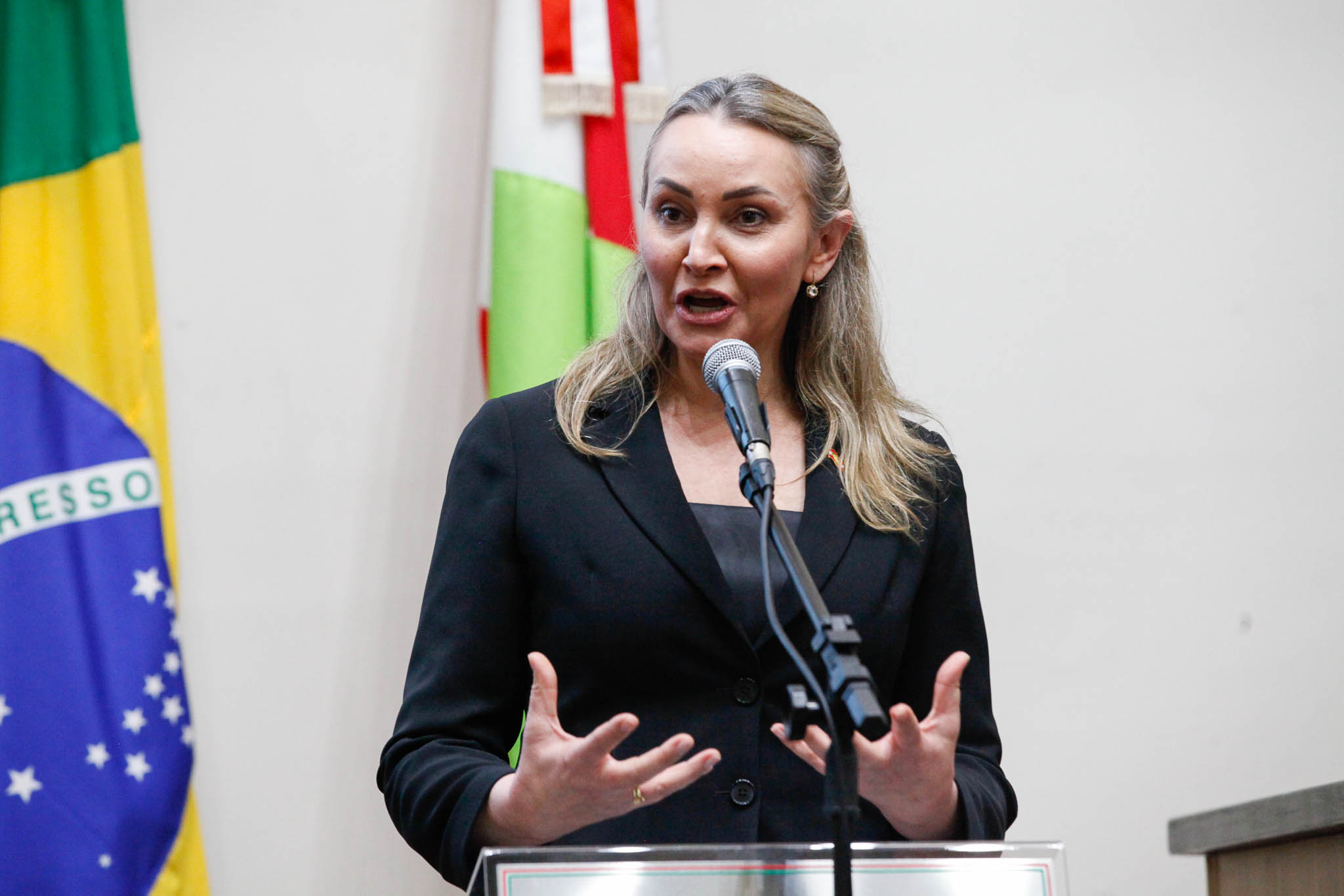 Vice-Governadora, Daniela Reinehr
