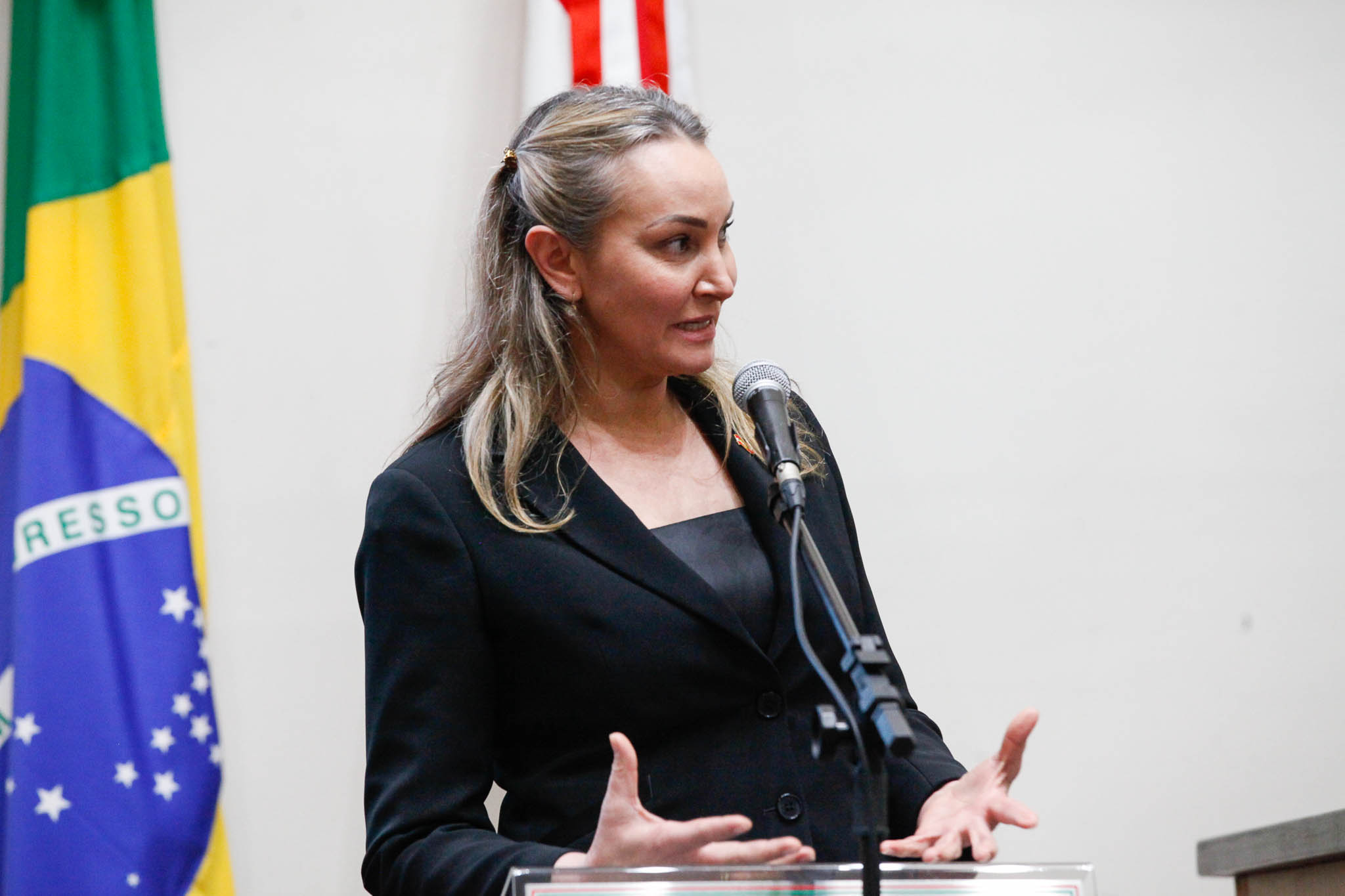 Vice-Governadora, Daniela Reinehr