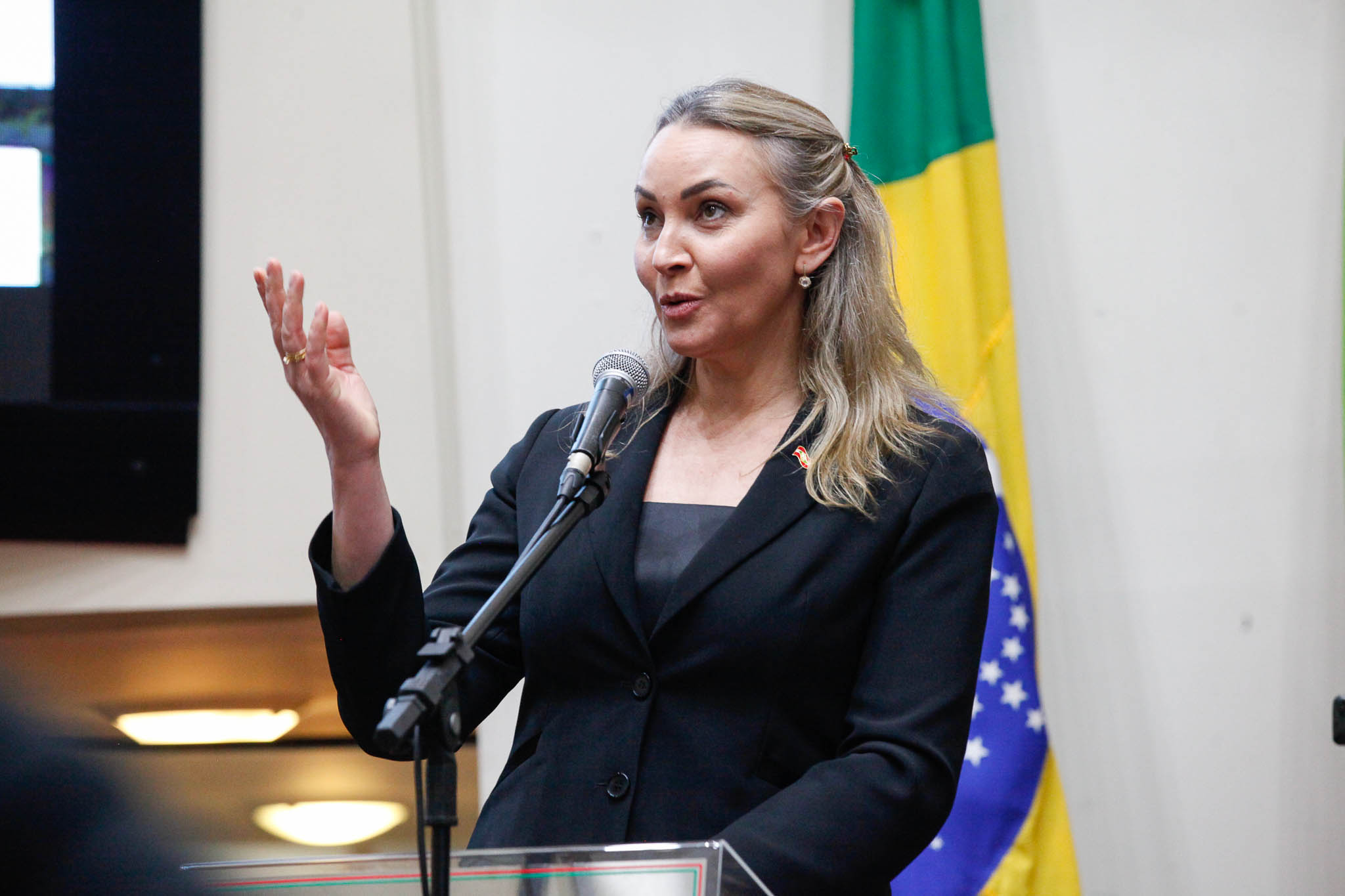 Vice-Governadora, Daniela Reinehr