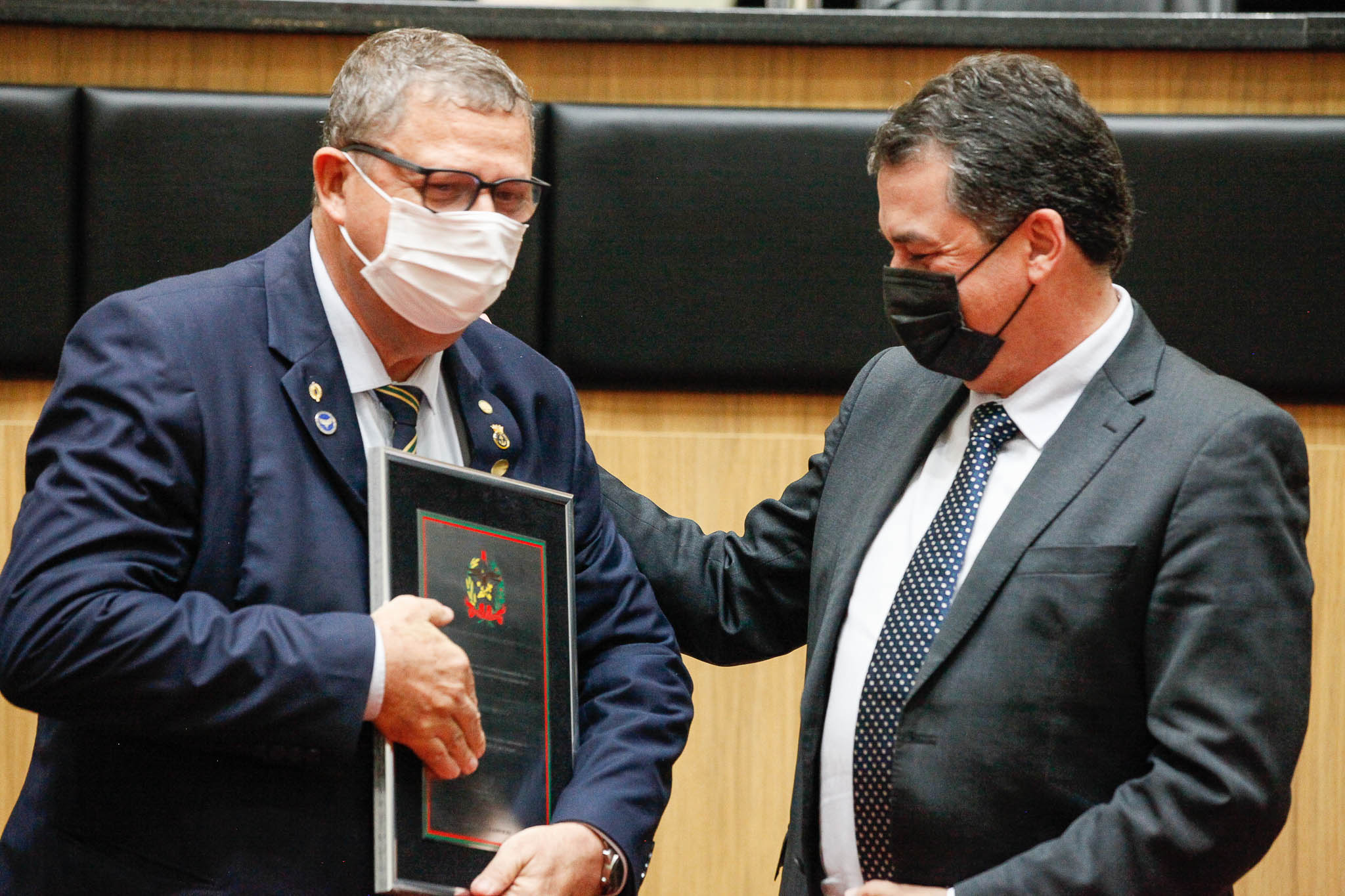 Deputado Federal, Luiz Armando Schroeder Reis