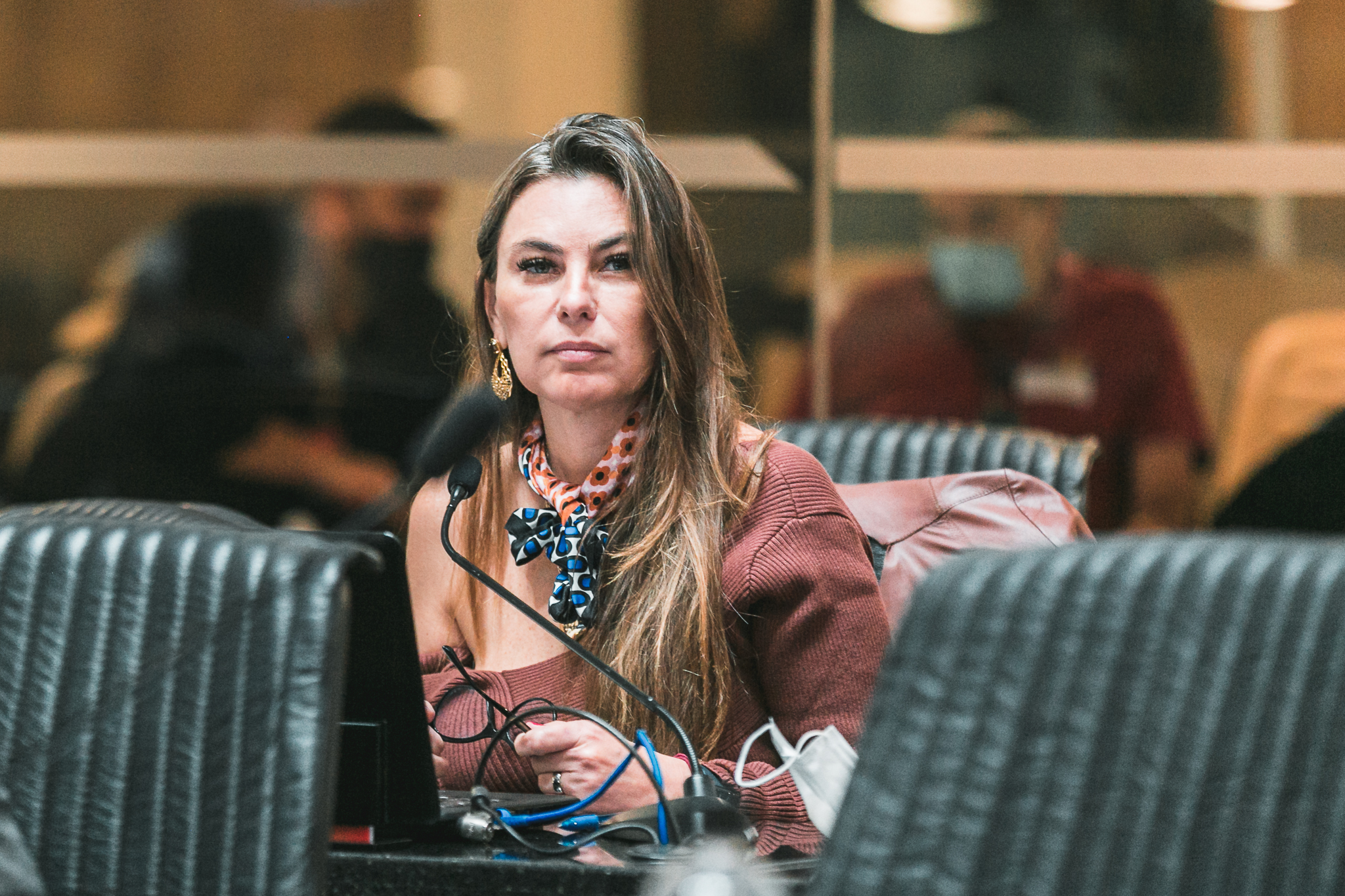 Deputada Ana Paula da Silva (Sem Partido)