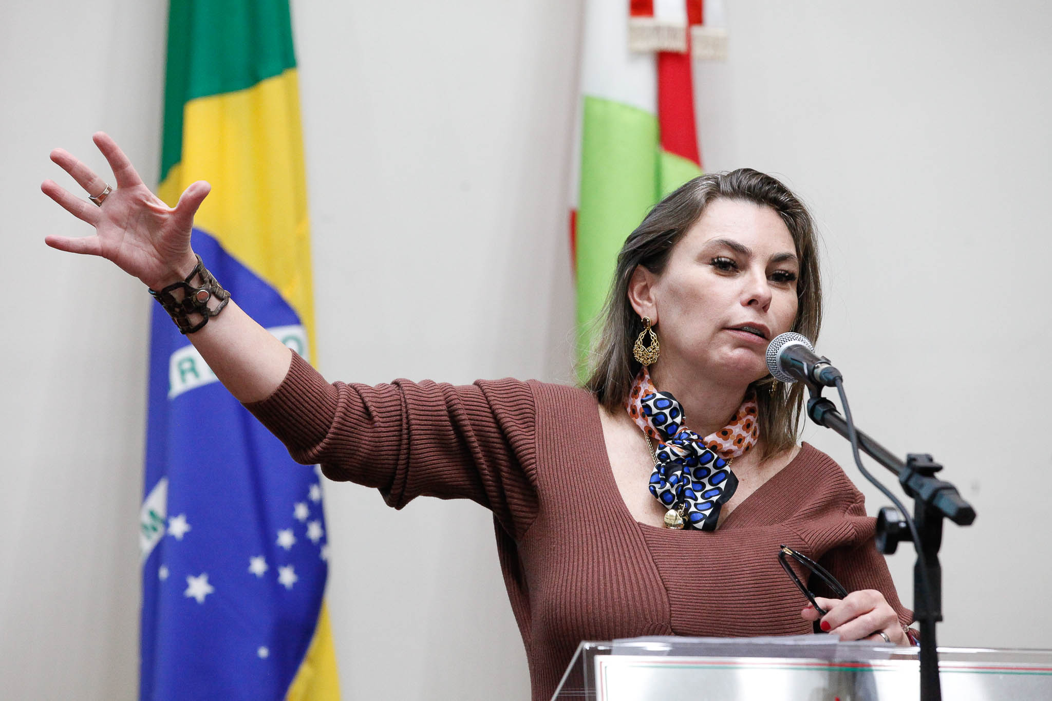 Deputada Ana Paula da Silva (Sem Partido)