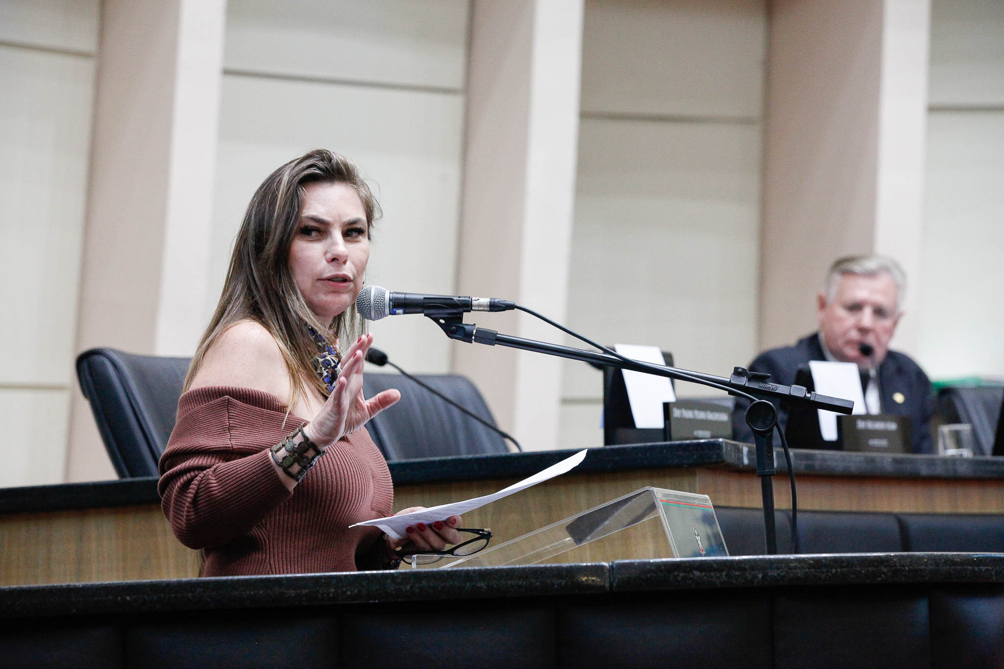 Deputada Ana Paula da Silva (Sem Partido)