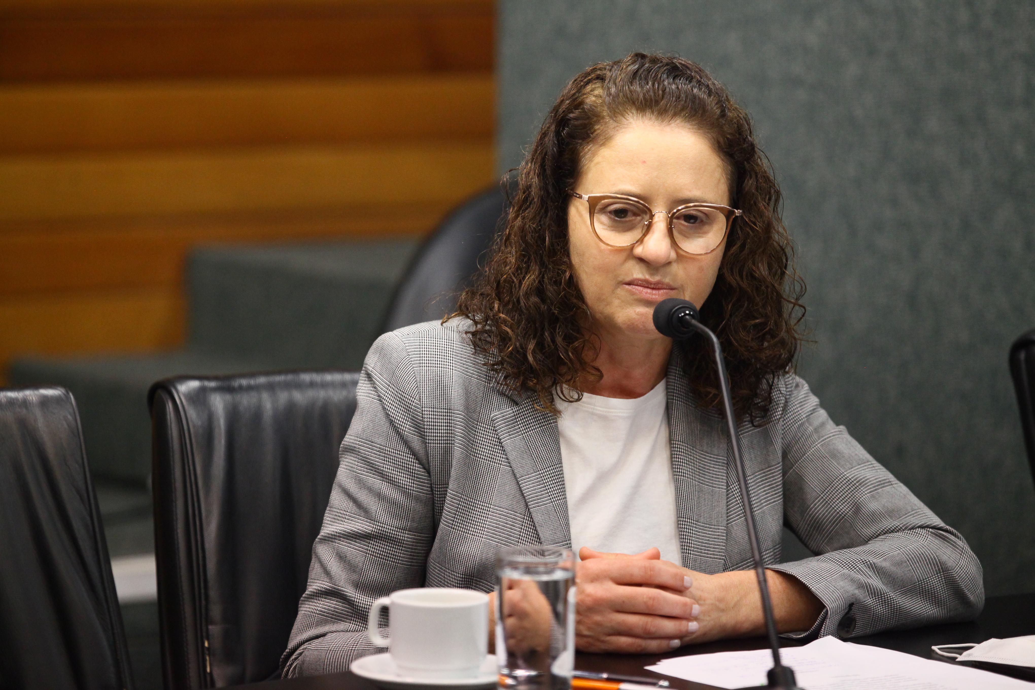 Comissão de Agricultura e Política Rural - Deputada Marlene Fengler (PSD)