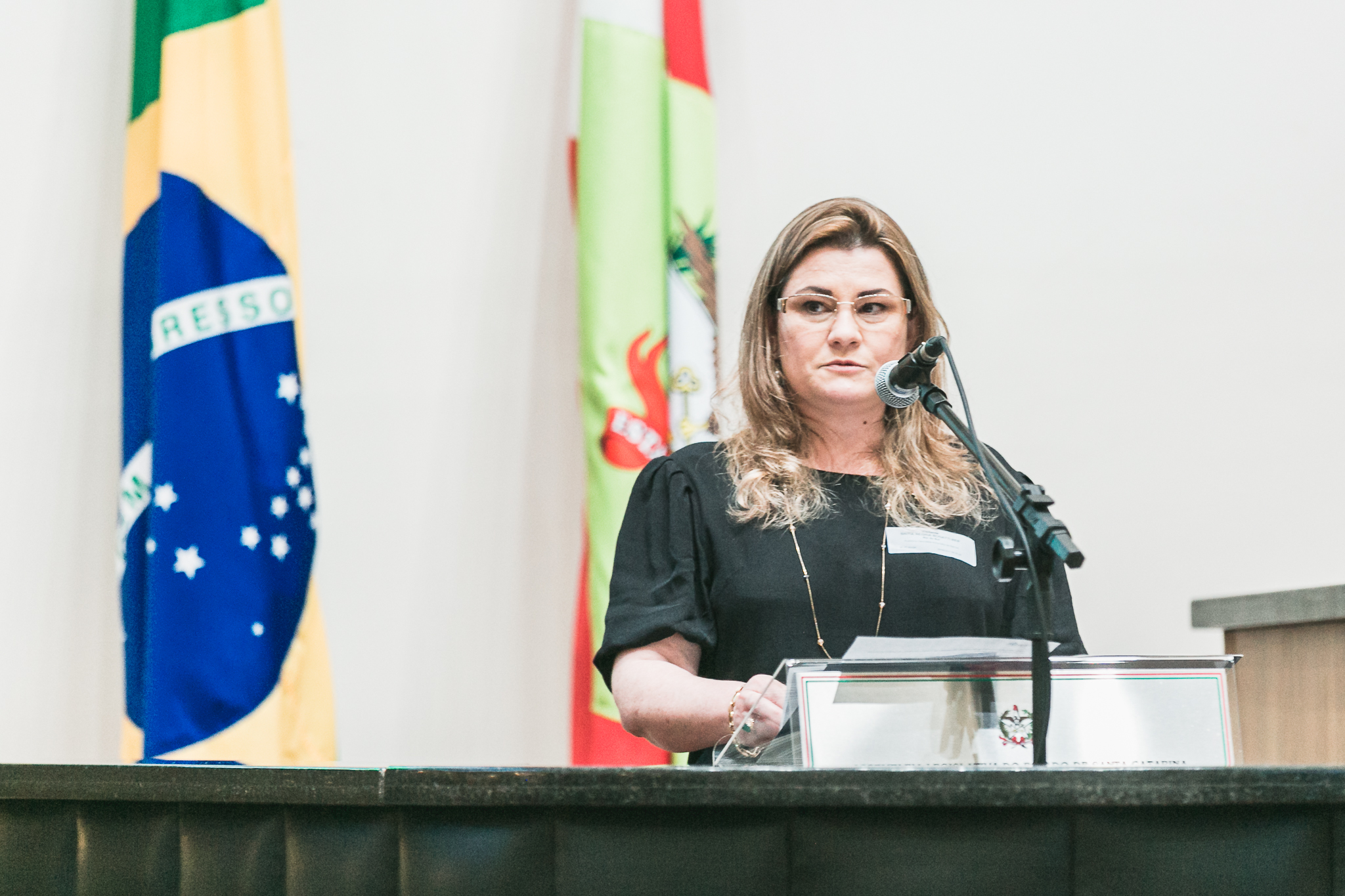 Síntia Regina Bonatti Reif, presidente do CRP-SC